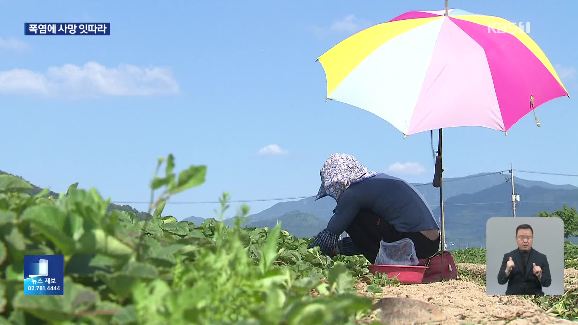 “체온 43도 육박” 온열질환자 속출…누적 사망자 10명