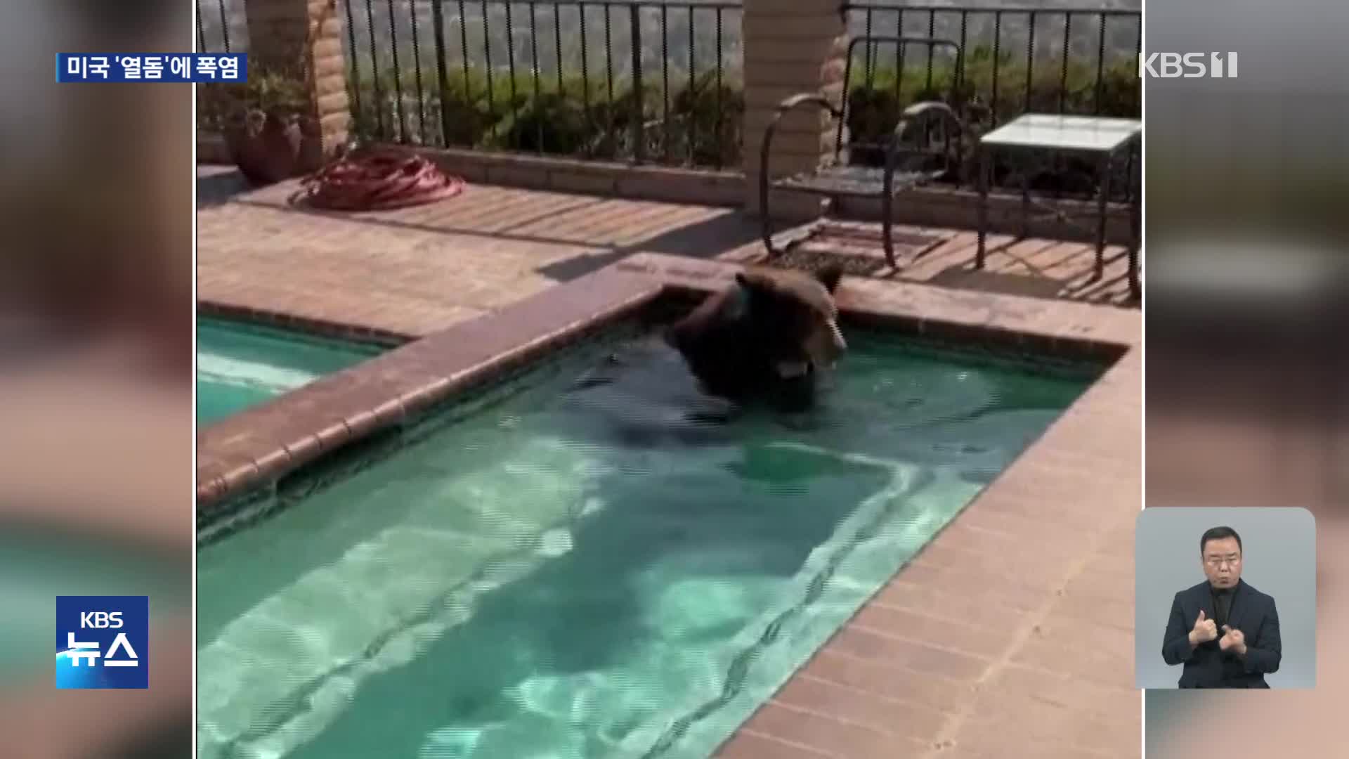 선인장 말라 죽고 주택 수영장엔 곰…미국 “폭염 실존적 위협”
