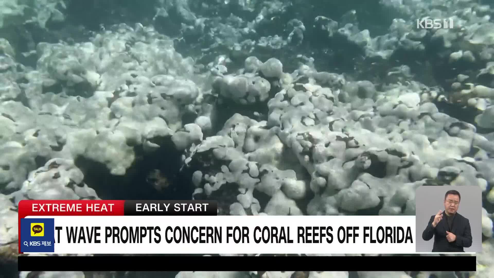 폭염에 플로리다주 산호초 위기