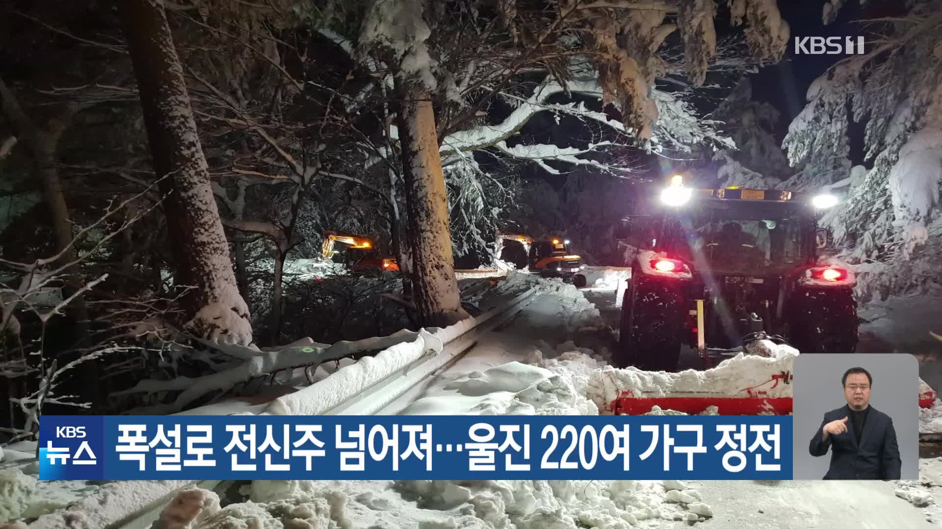 폭설로 전신주 넘어져…울진 220여 가구 정전