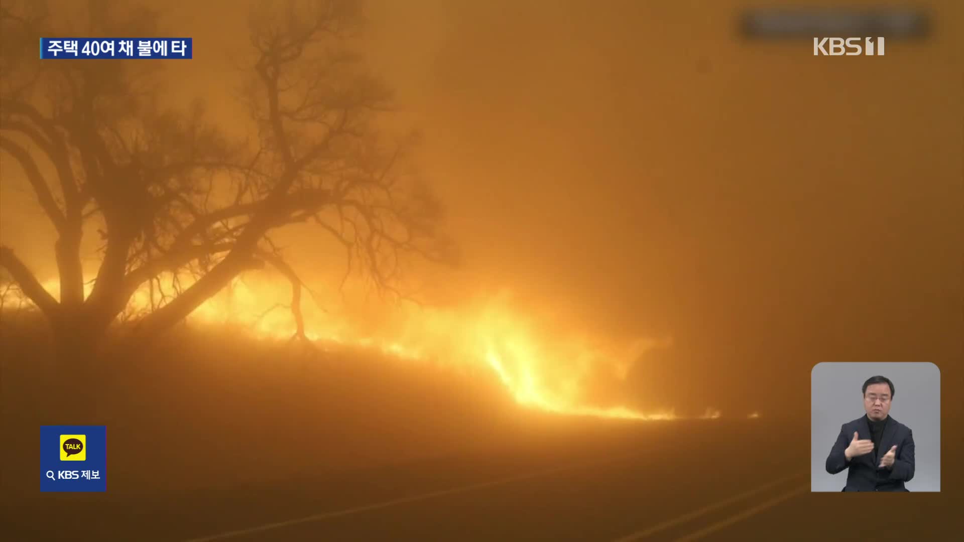 미 텍사스 산불, 서울 면적 5배 태우며 확산
