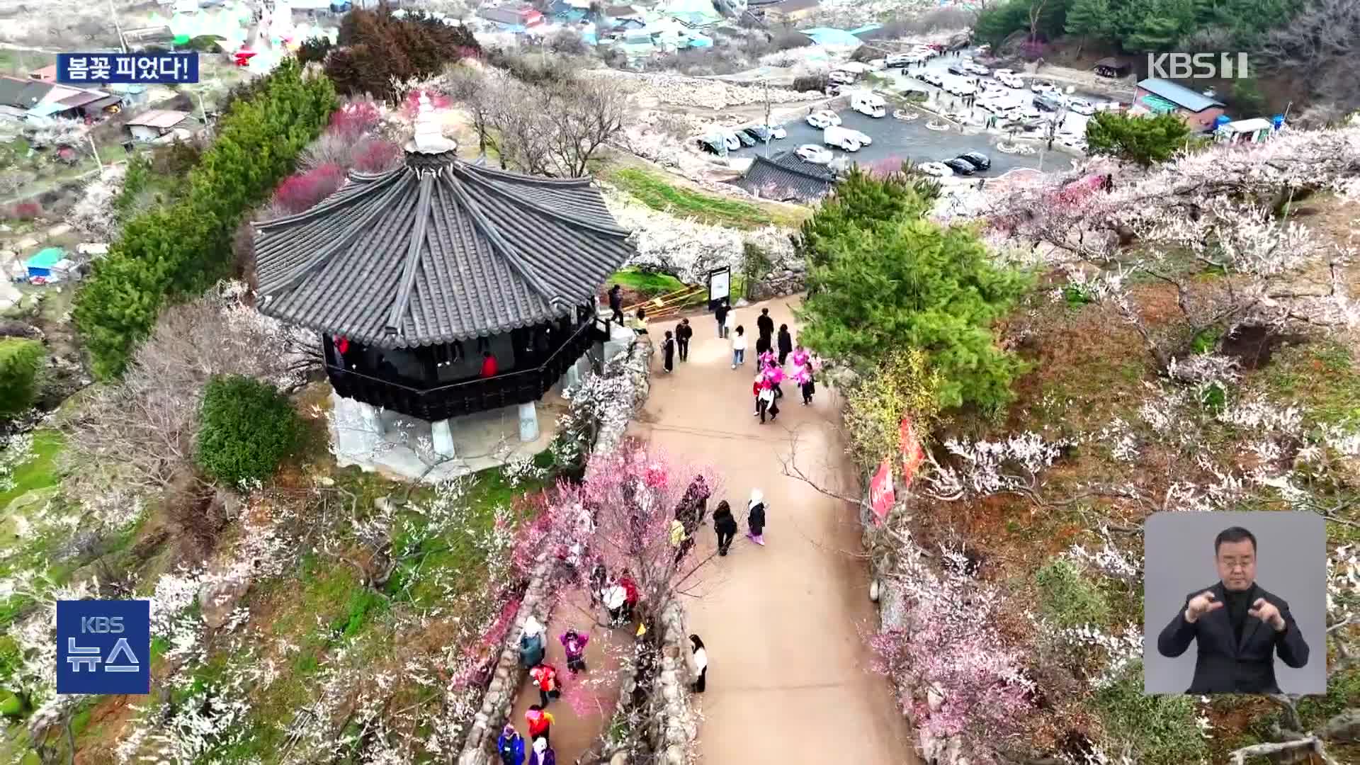 남녘은 벌써 꽃 잔치…광양 매화축제 개막