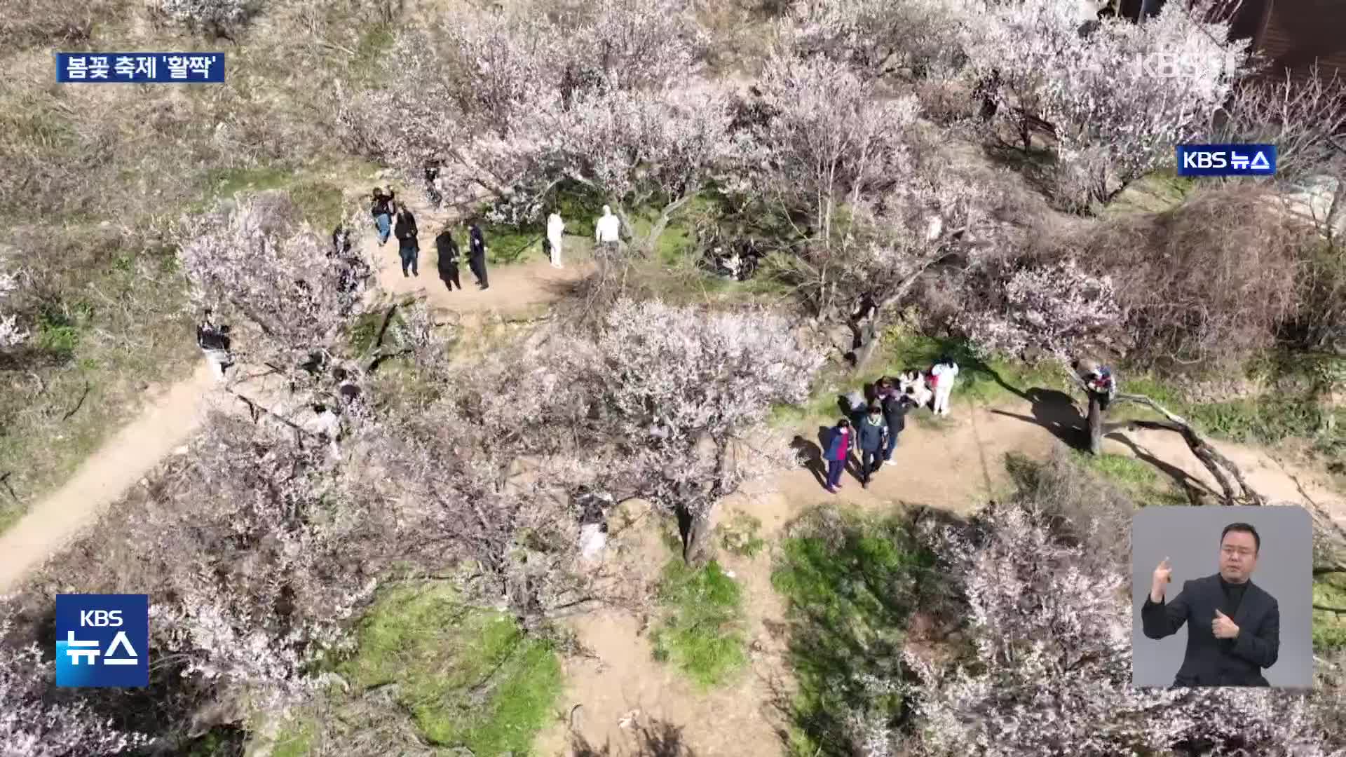 남쪽에 먼저 피어난 봄…봄꽃 축제 한창