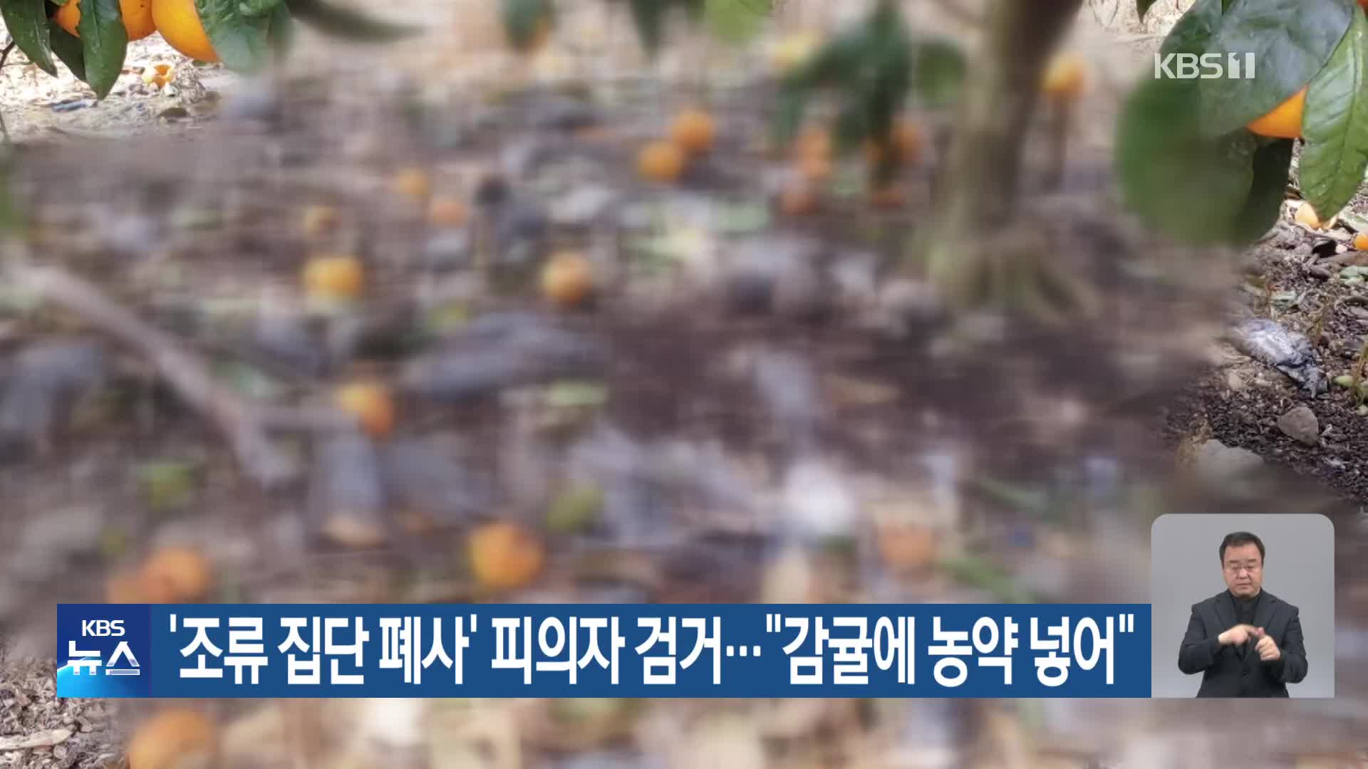 ‘조류 집단 폐사’ 피의자 검거…“감귤에 농약 넣어”