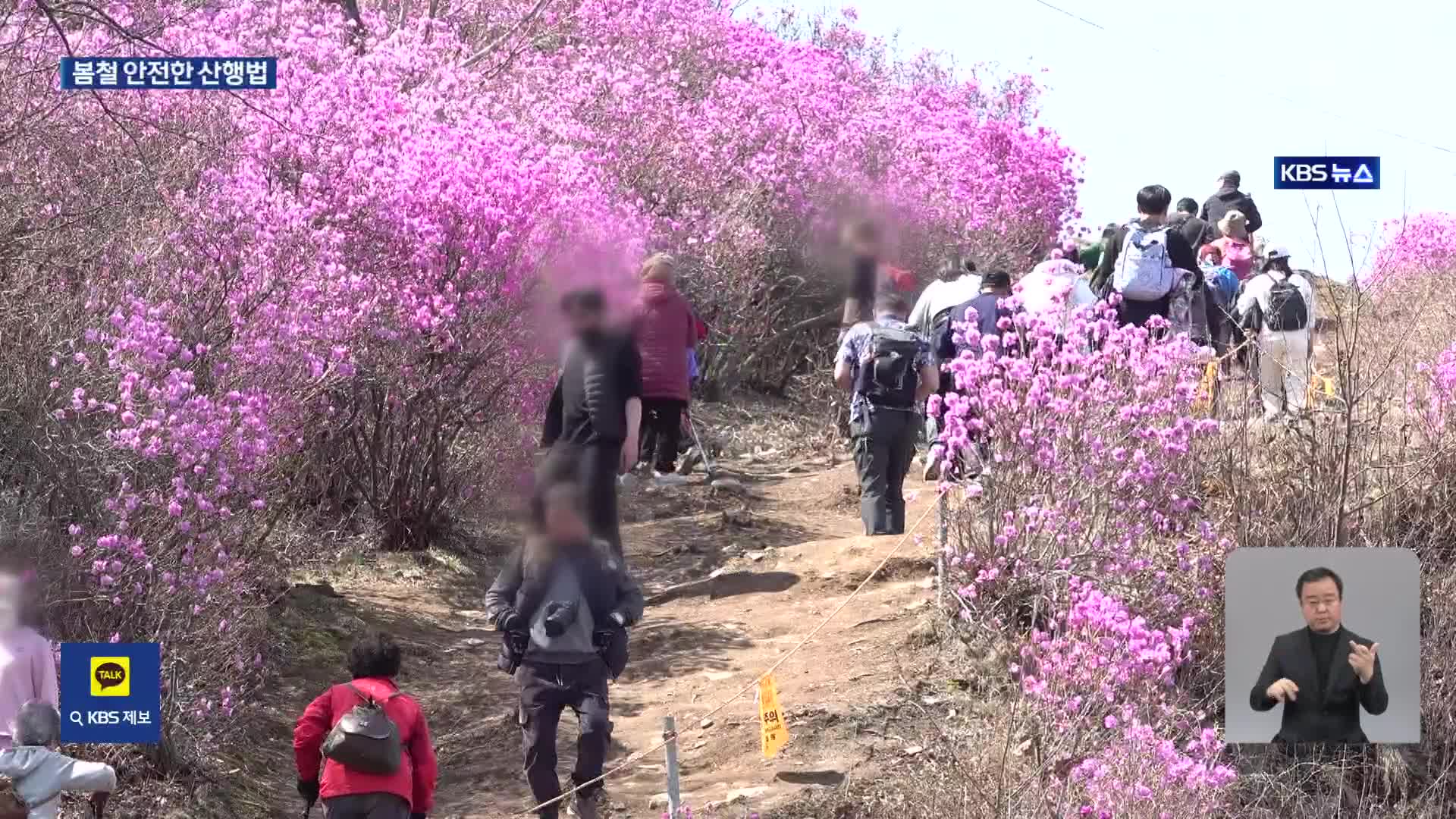 건강 챙기려다 탈 난다…봄철 등산 주의