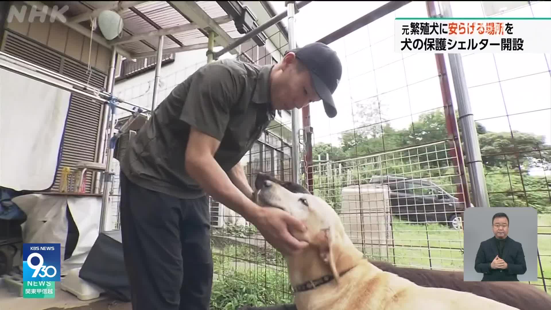 일본, 은퇴견에게 안식처 제공하는 남성