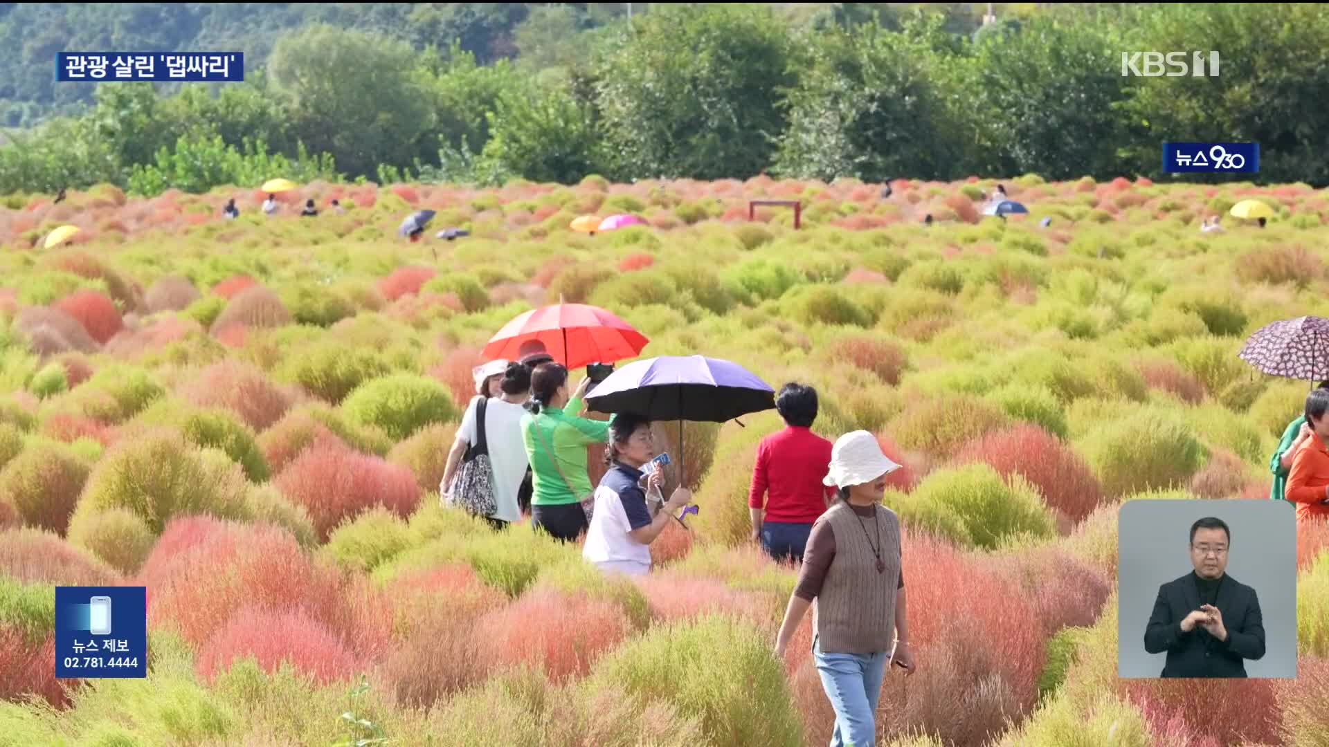 버려진 땅을 관광지로…연천 댑싸리 공원의 기적