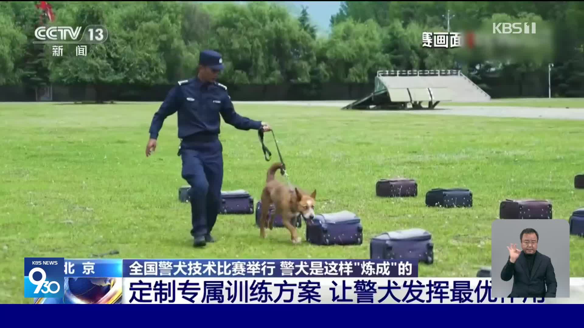 중국, 팀워크로 하나된 경찰견 대회 열려