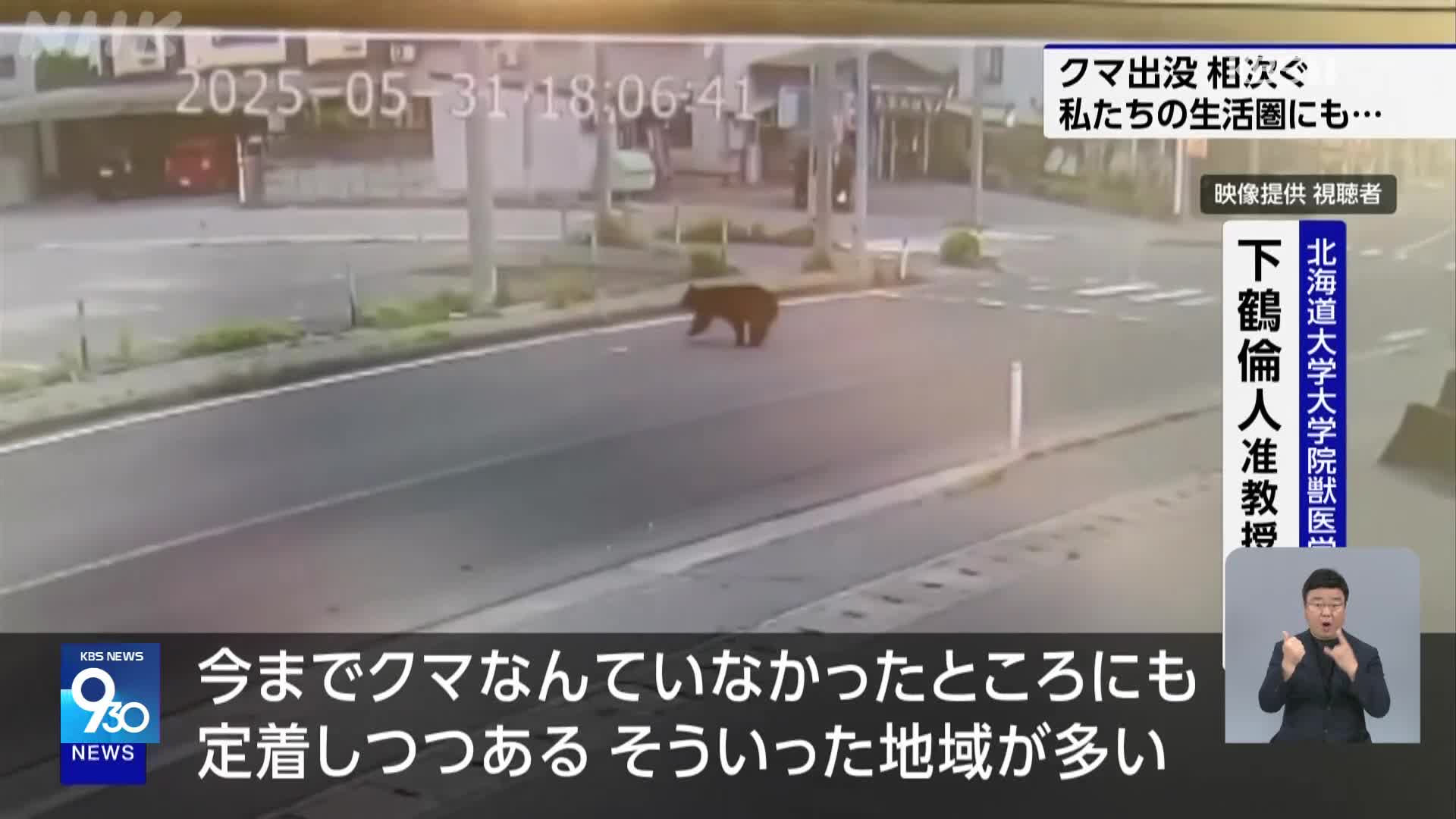 일본, 운동장부터 활주로까지…곰 출몰에 초긴장
