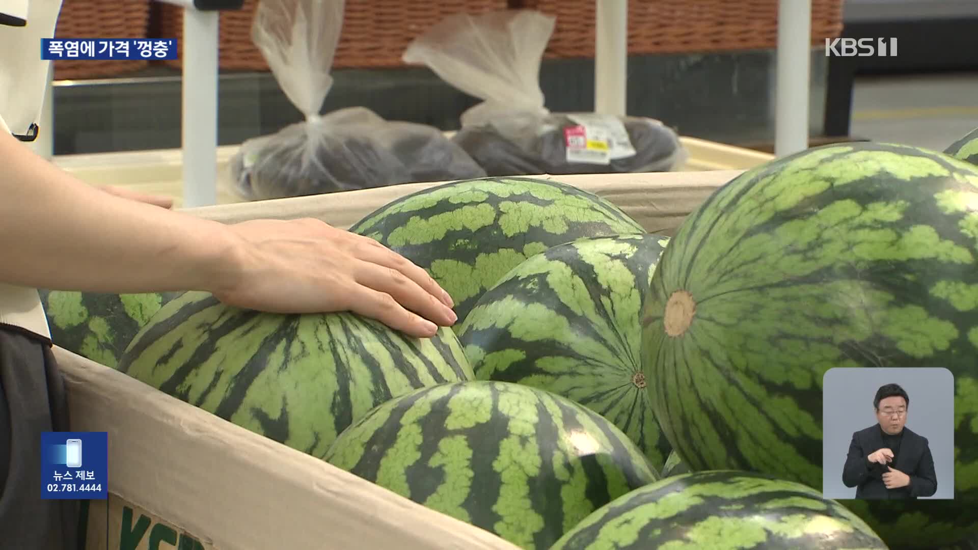 폭염에 농수산물 가격 급등…밥상 덮친 ‘히트플레이션’