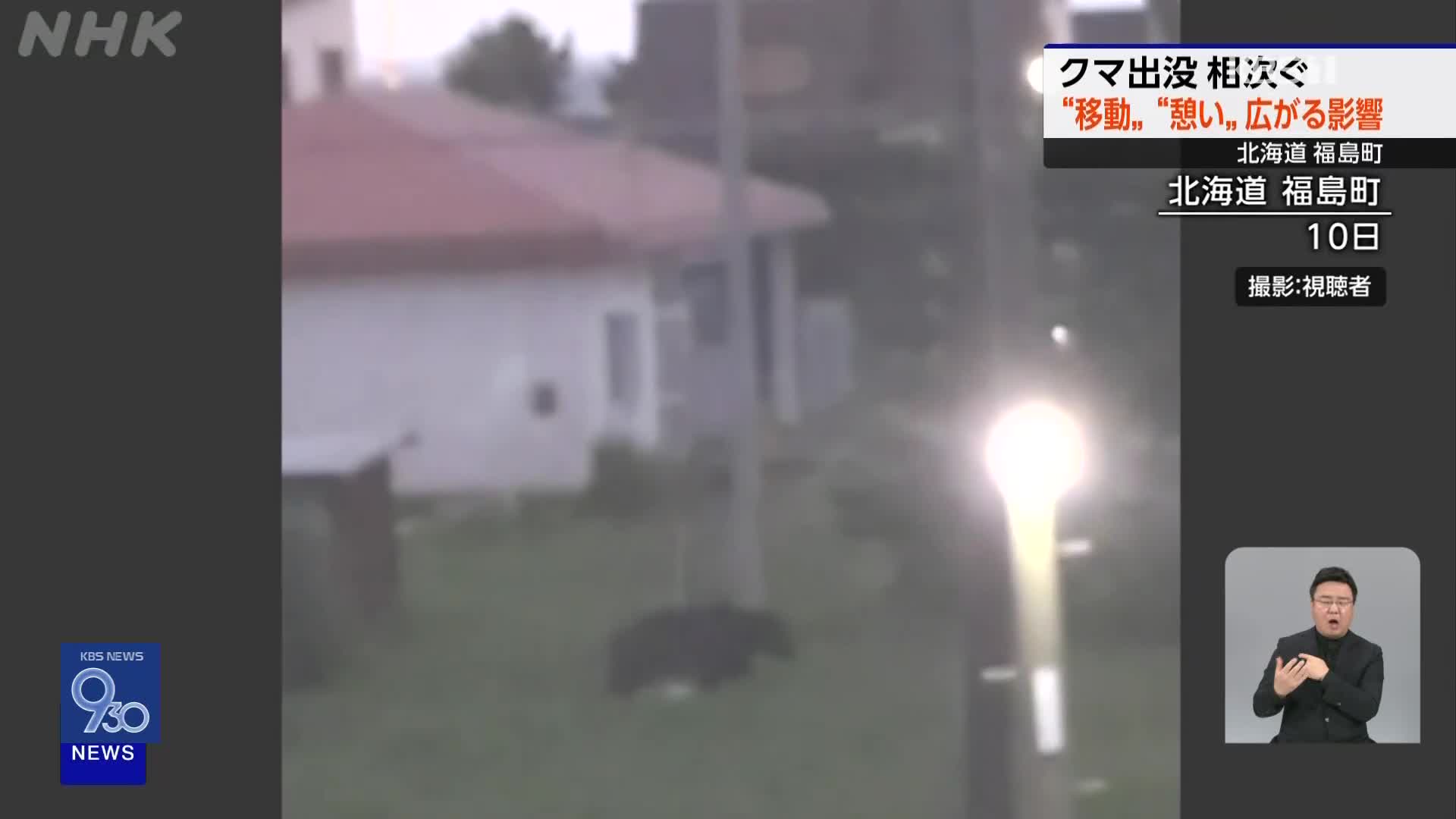 일본, 곰 잇단 출몰에 경기 취소·온천 단축 영업