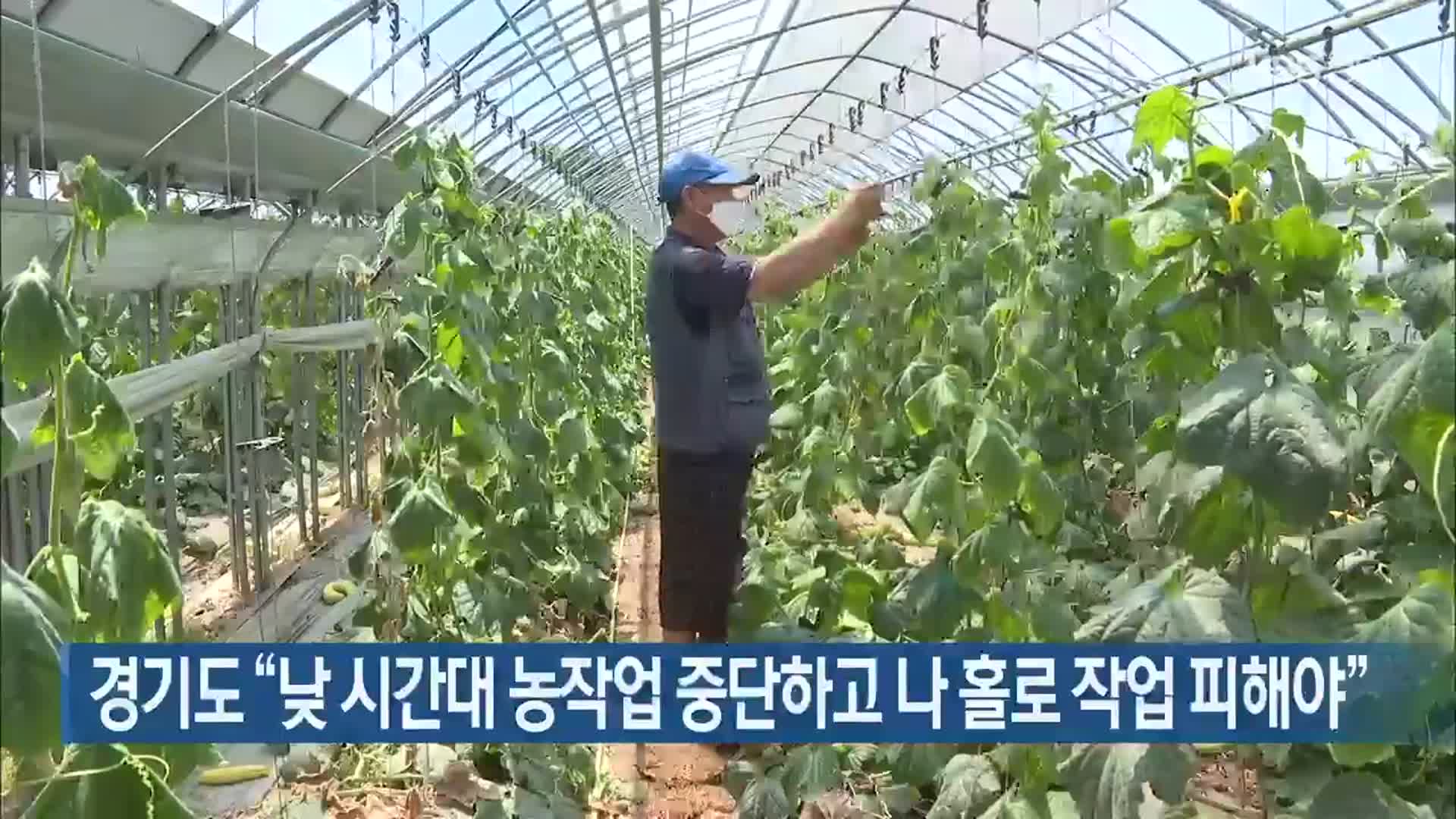 경기도 “낮 시간대 농작업 중단하고 나 홀로 작업 피해야”