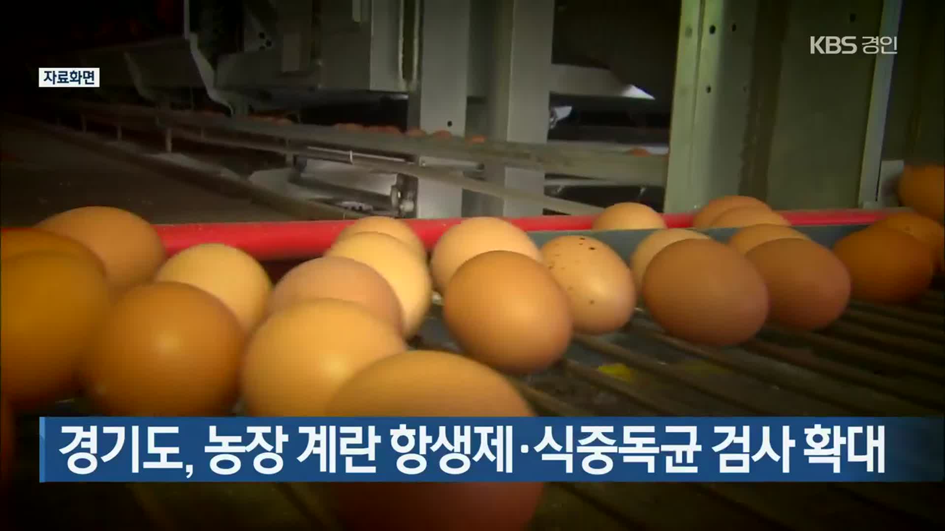 경기도, 농장 계란 항생제·식중독균 검사 확대