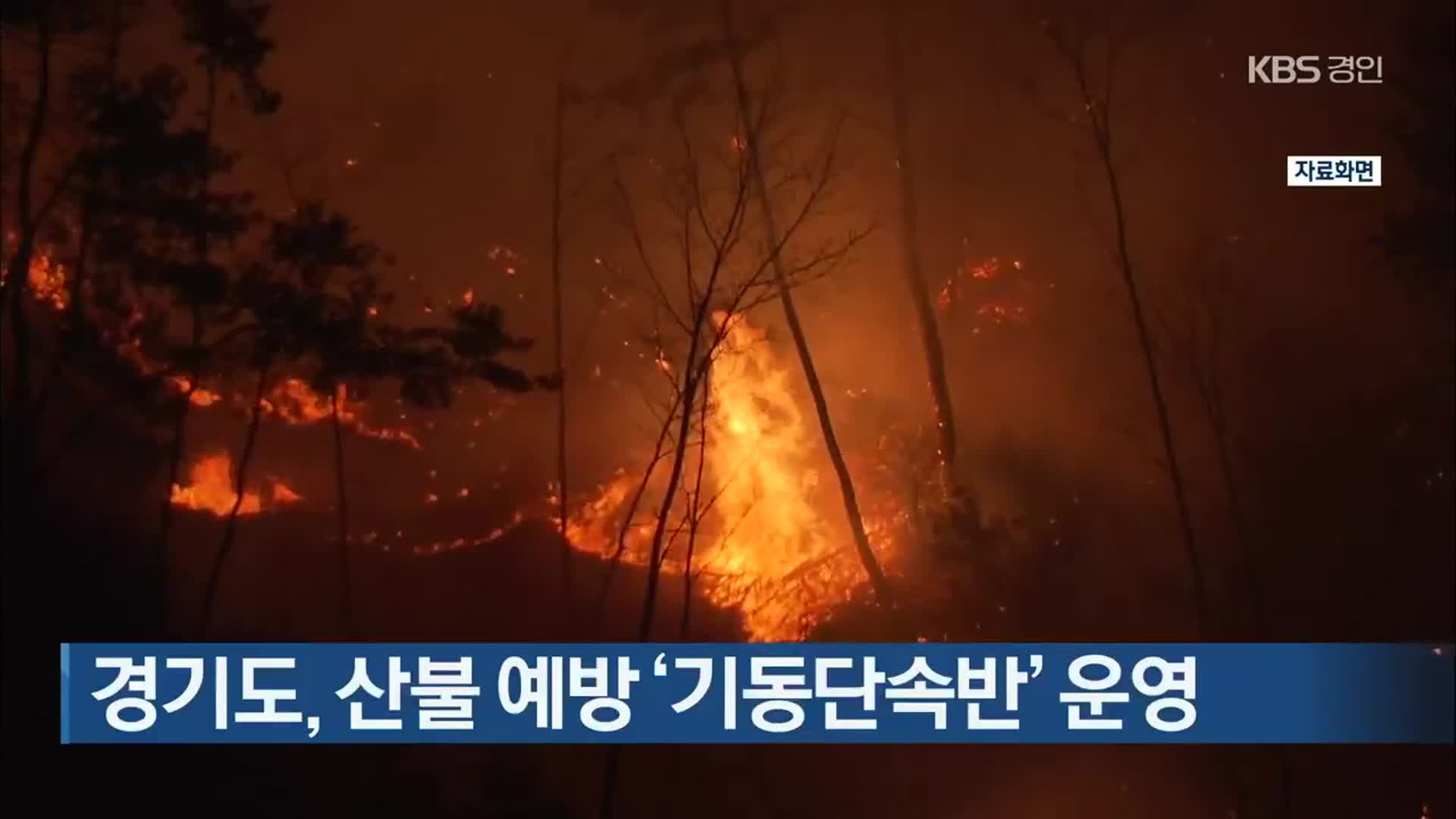 경기도, 산불 예방 ‘기동단속반’ 운영