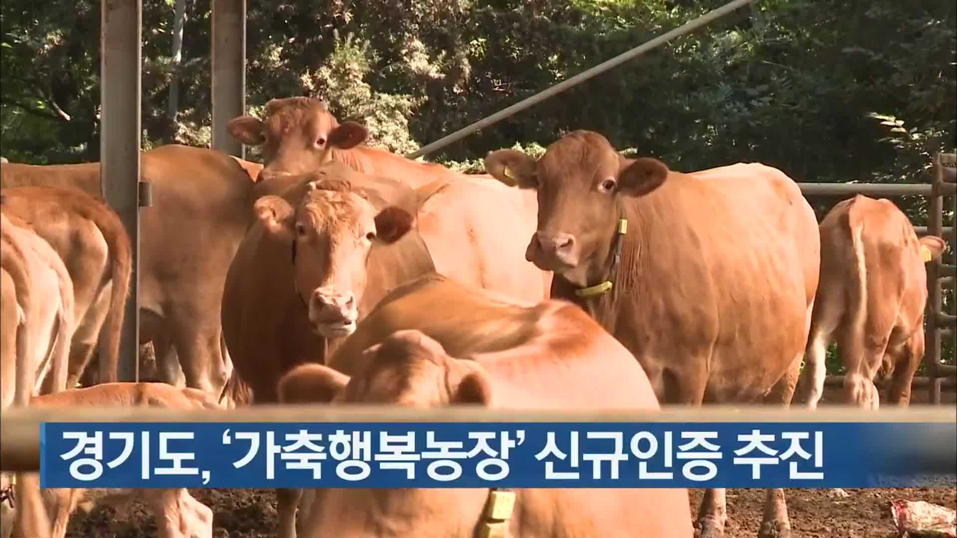 경기도, ‘가축행복농장’ 신규인증 추진