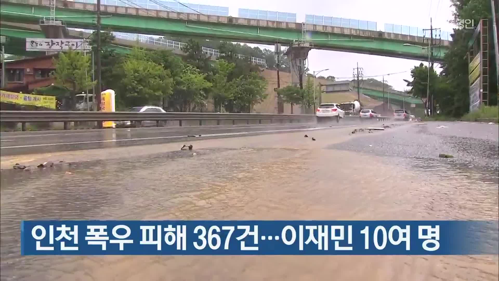 인천 폭우 피해 367건…이재민 10여 명