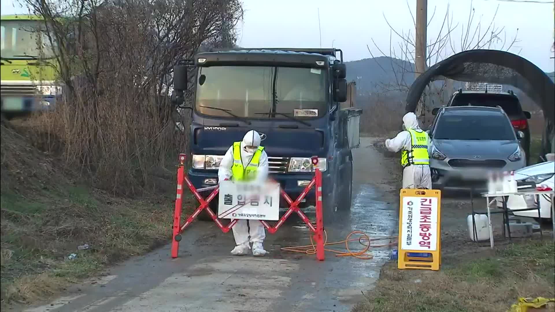 고병원성 AI 수도권까지 뚫렸다…전국 확산 조짐 ‘비상’