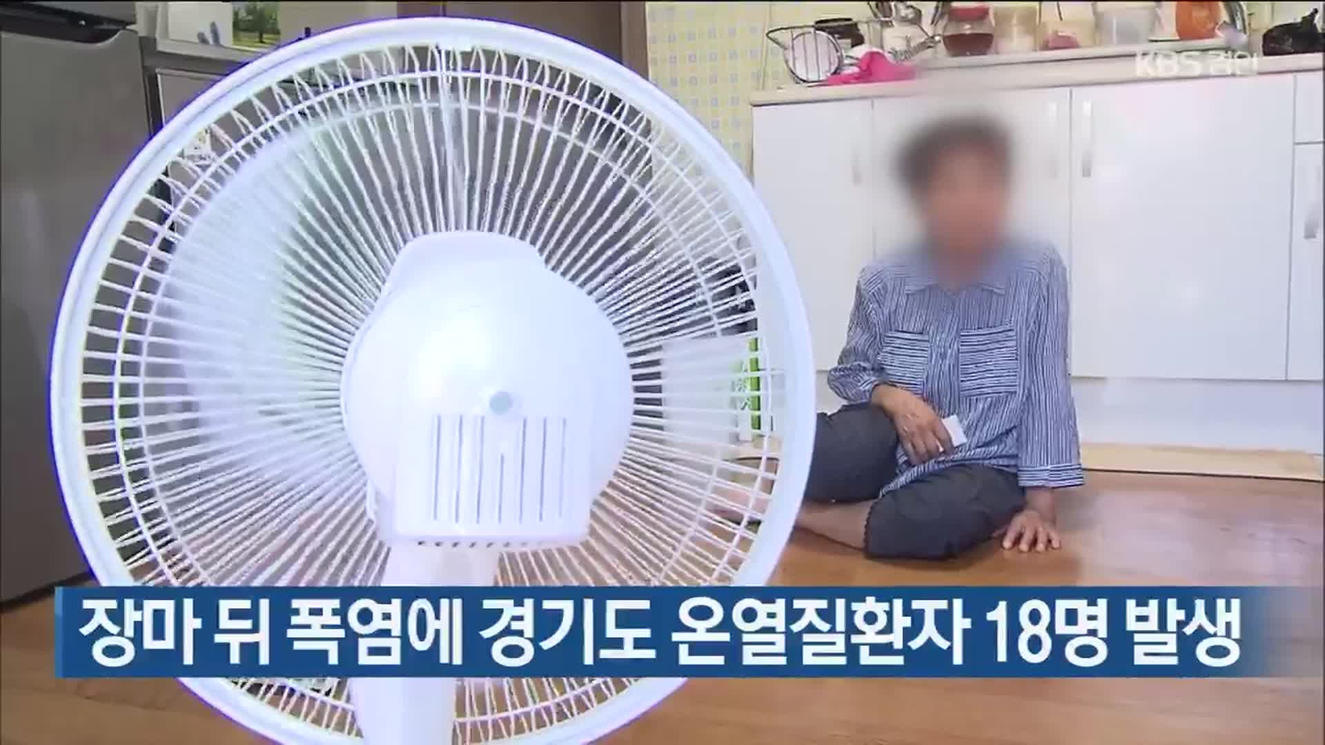 장마 뒤 폭염에 경기도 온열질환자 18명 발생