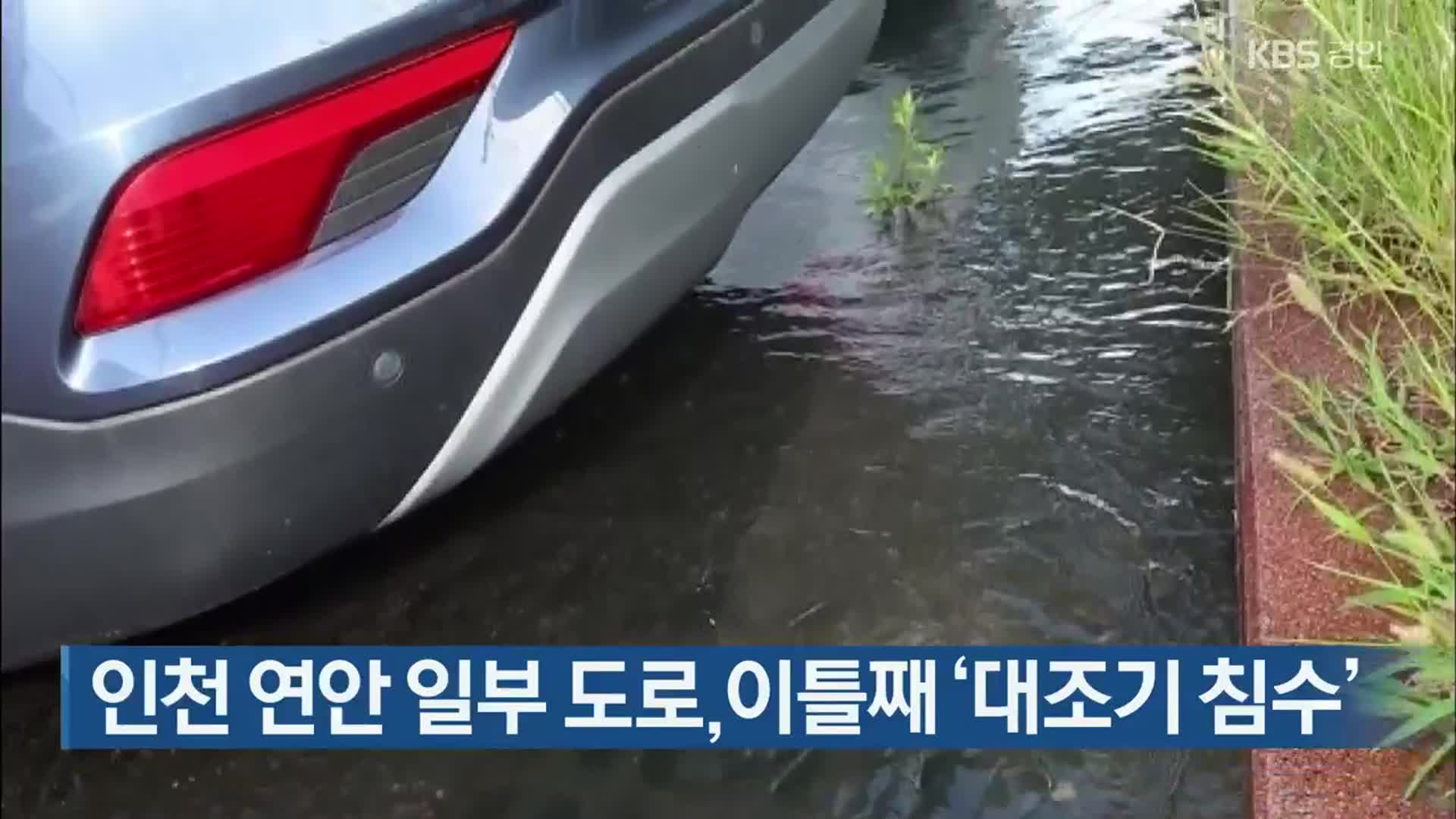 인천 연안 일부 도로,이틀째 ‘대조기 침수’