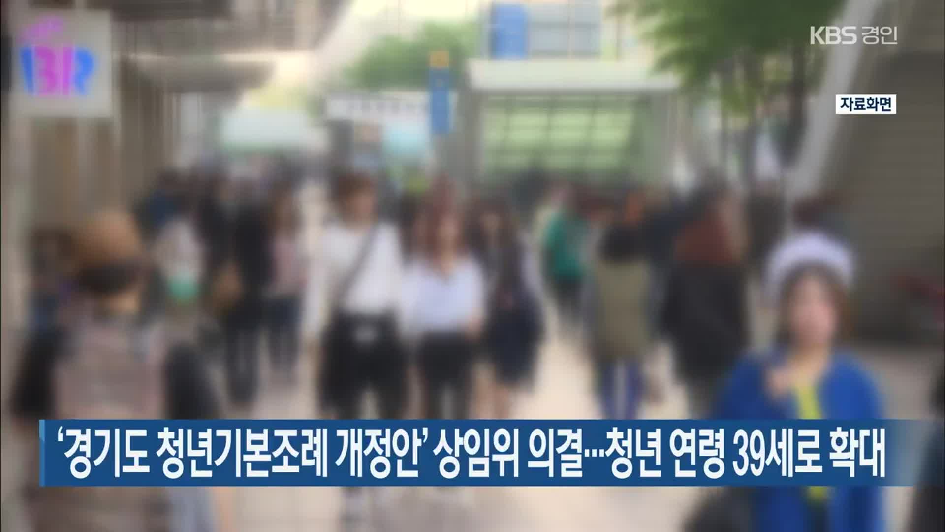 ‘경기도 청년기본조례 개정안’ 상임위 의결…청년 연령 39세로 확대