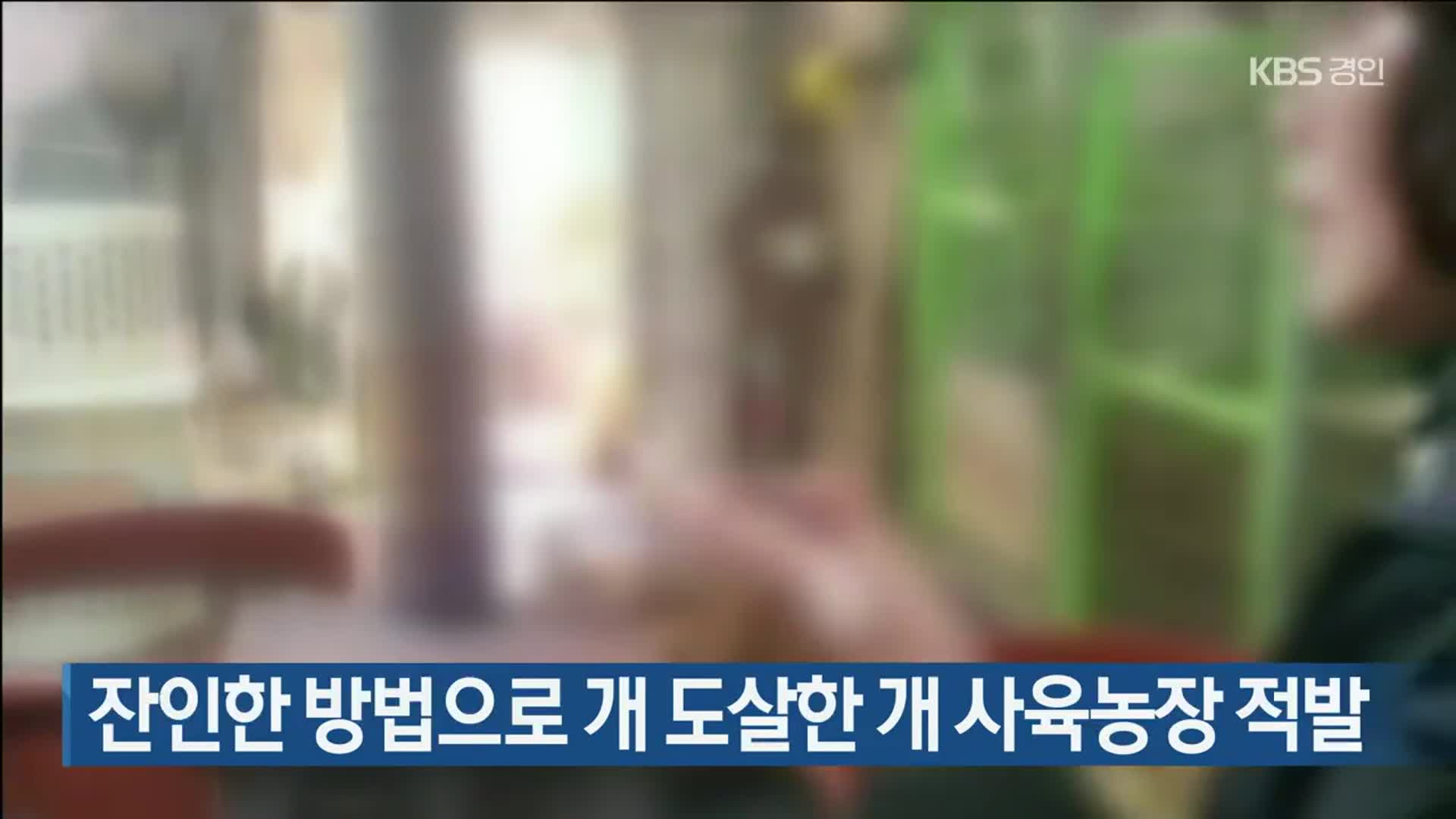 잔인한 방법으로 개 도살한 개 사육농장 적발