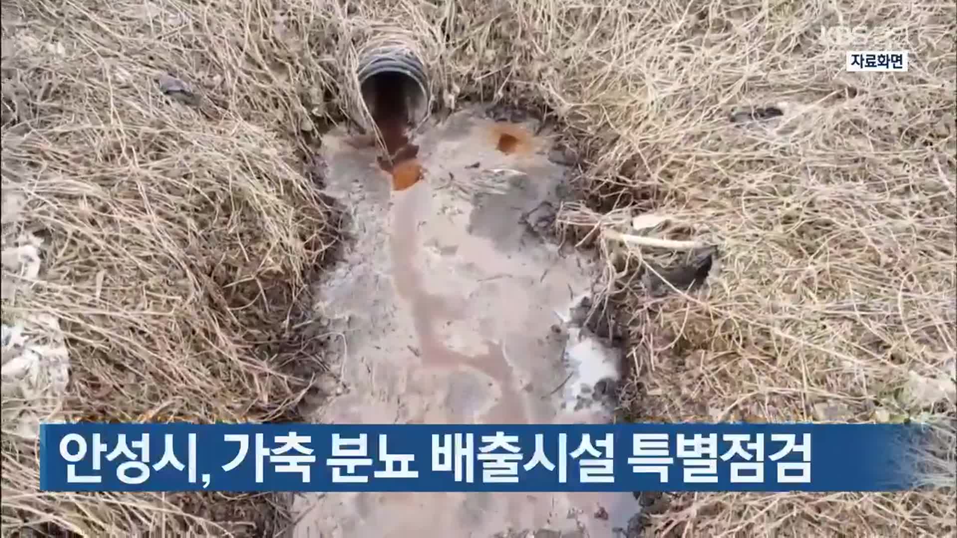 안성시, 가축 분뇨 배출시설 특별점검