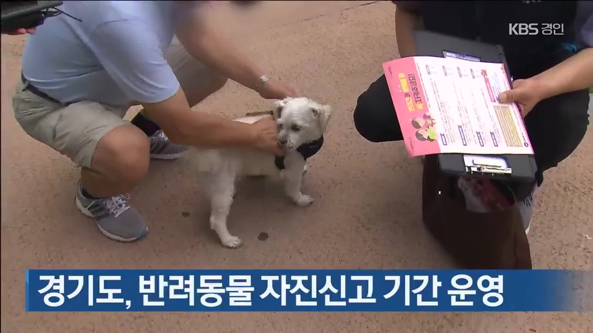 경기도, 반려동물 자진신고 기간 운영