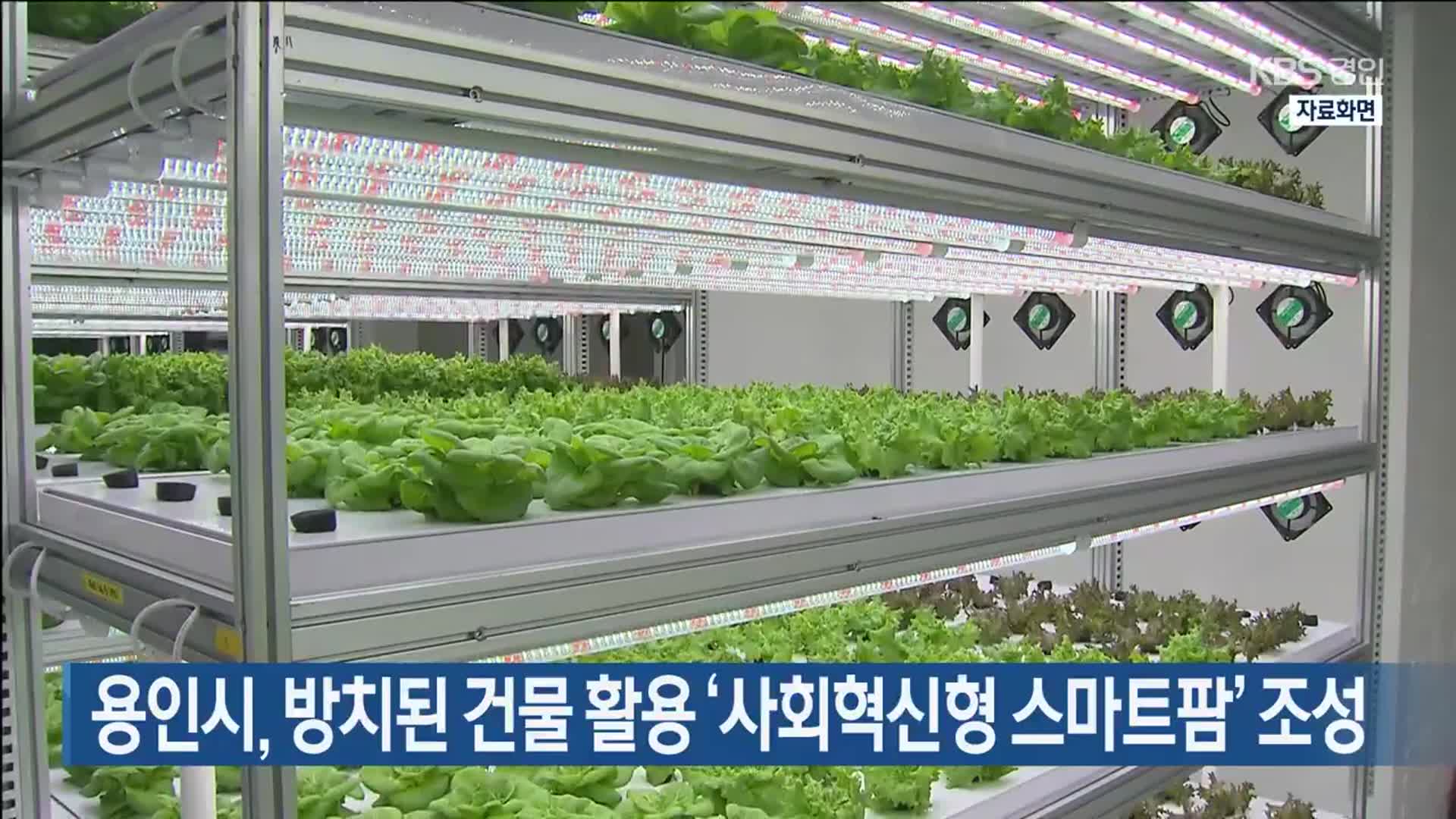 용인시, 방치된 건물 활용 ‘사회혁신형 스마트팜’ 조성