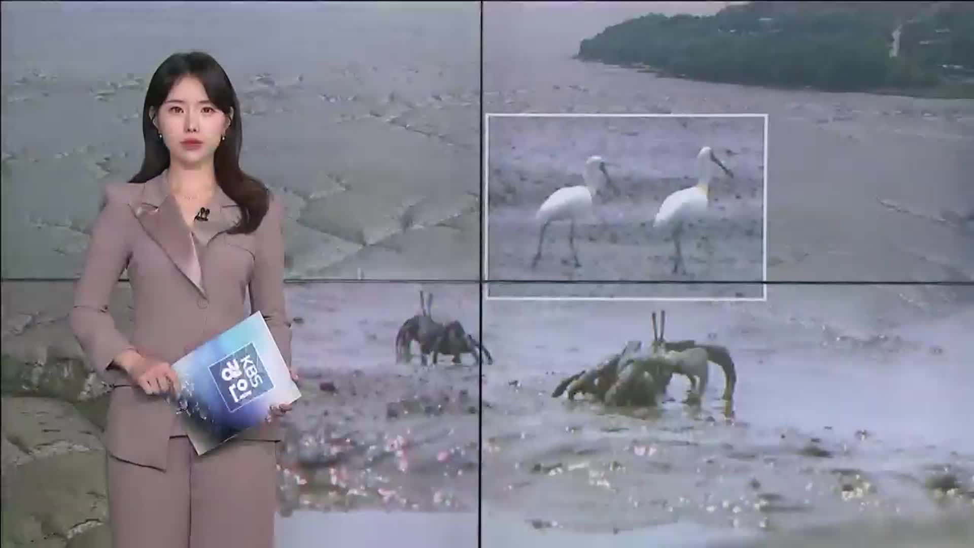 오프닝