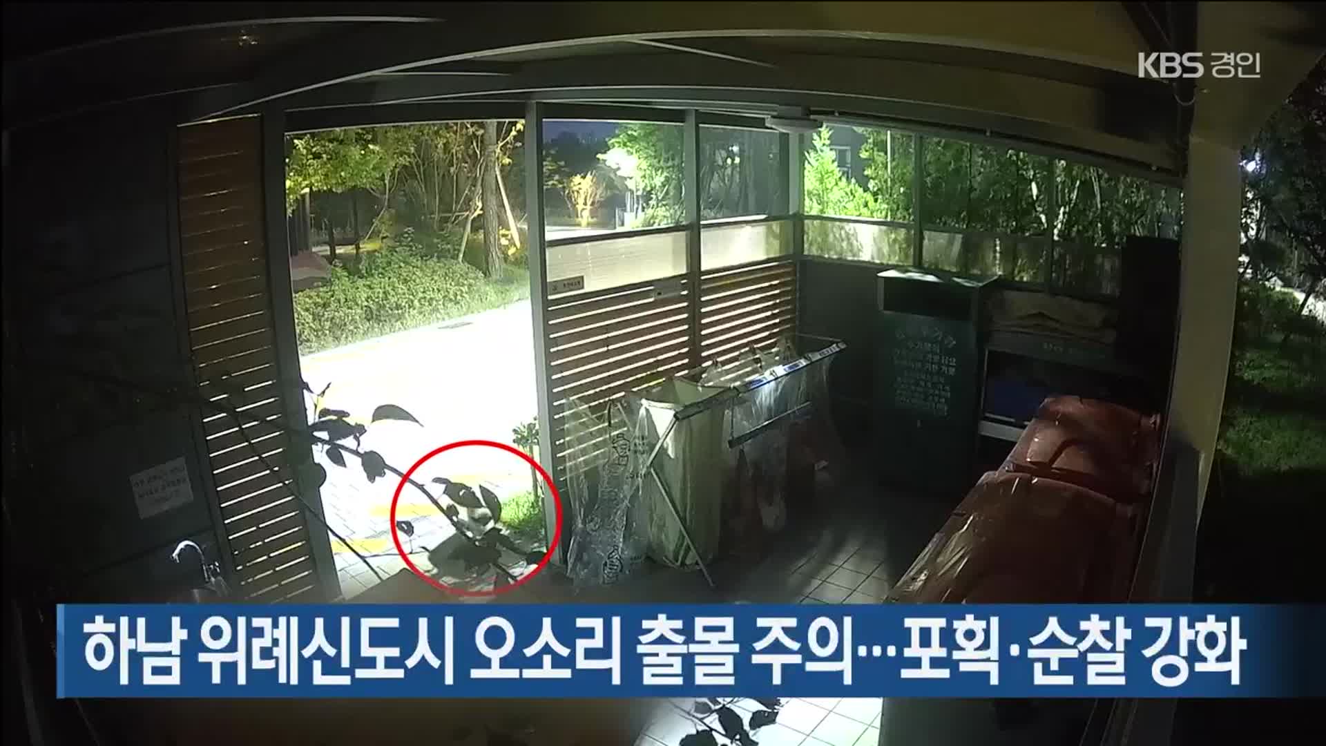 하남 위례신도시 오소리 출몰 주의…포획·순찰 강화