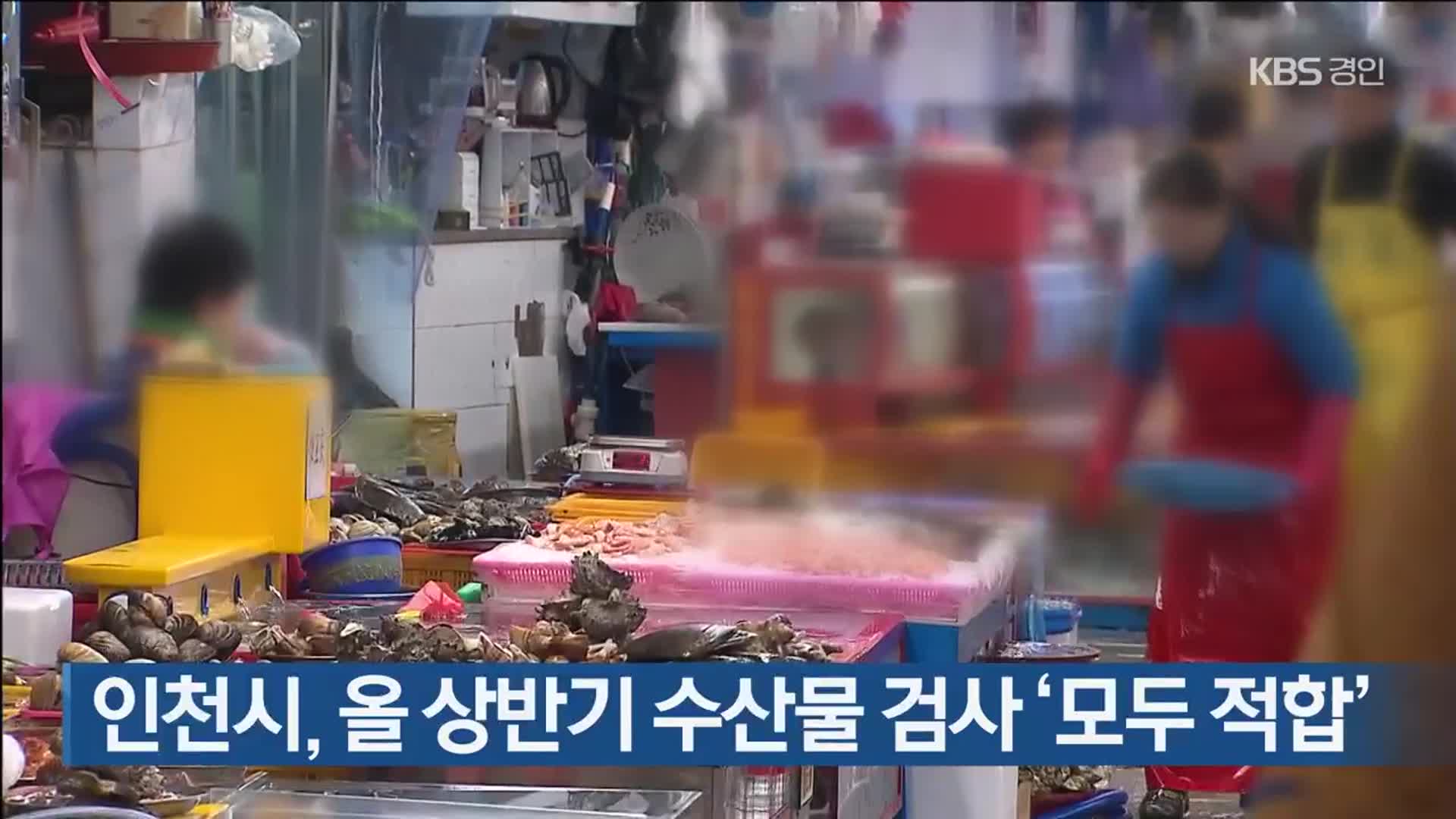 인천시, 올 상반기 수산물 검사 ‘모두 적합’