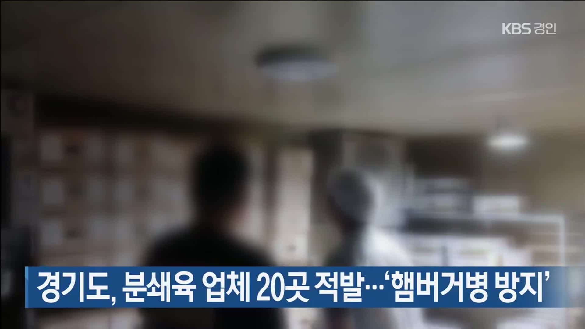 경기도, 분쇄육 업체 20곳 적발…‘햄버거병 방지’