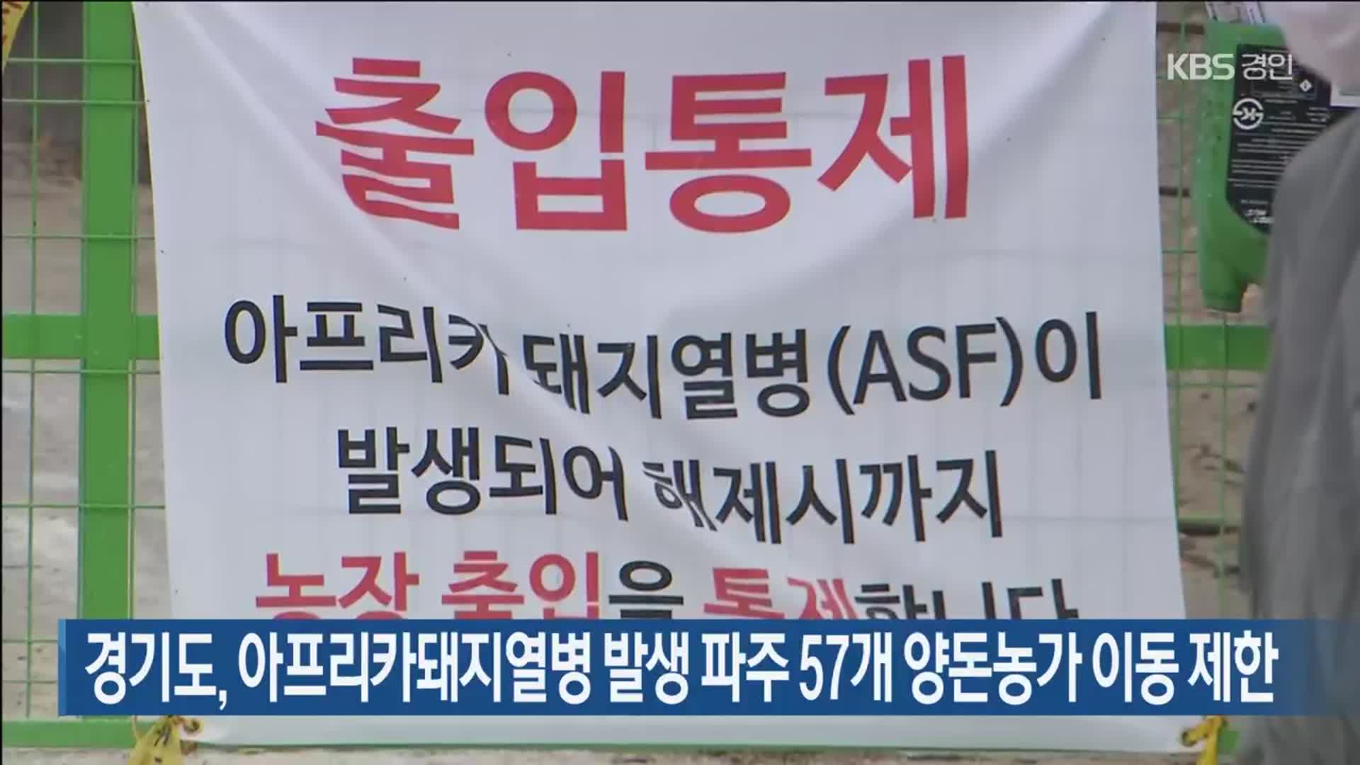 경기도, 아프리카돼지열병 발생 파주 57개 양돈농가 이동 제한