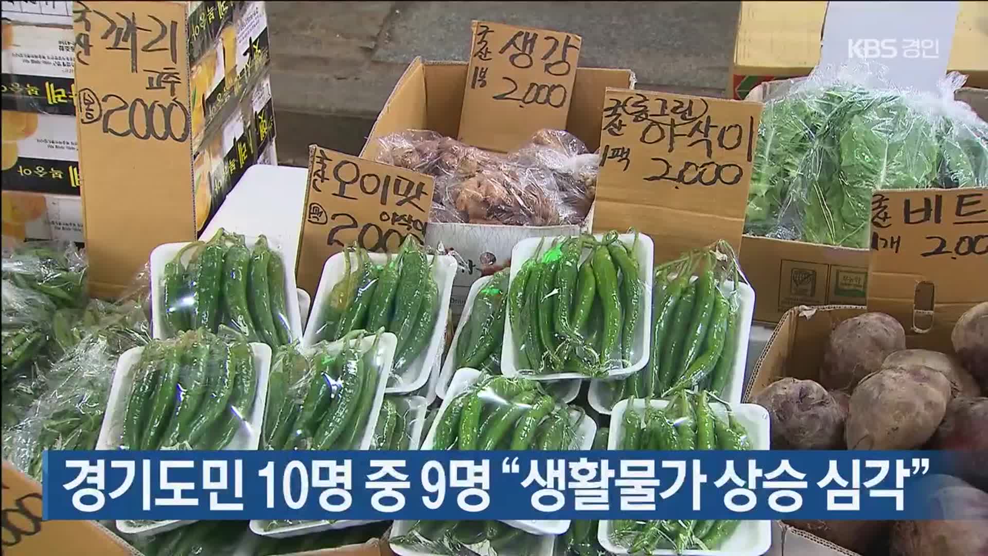 경기도민 10명 중 9명 “생활물가 상승 심각”
