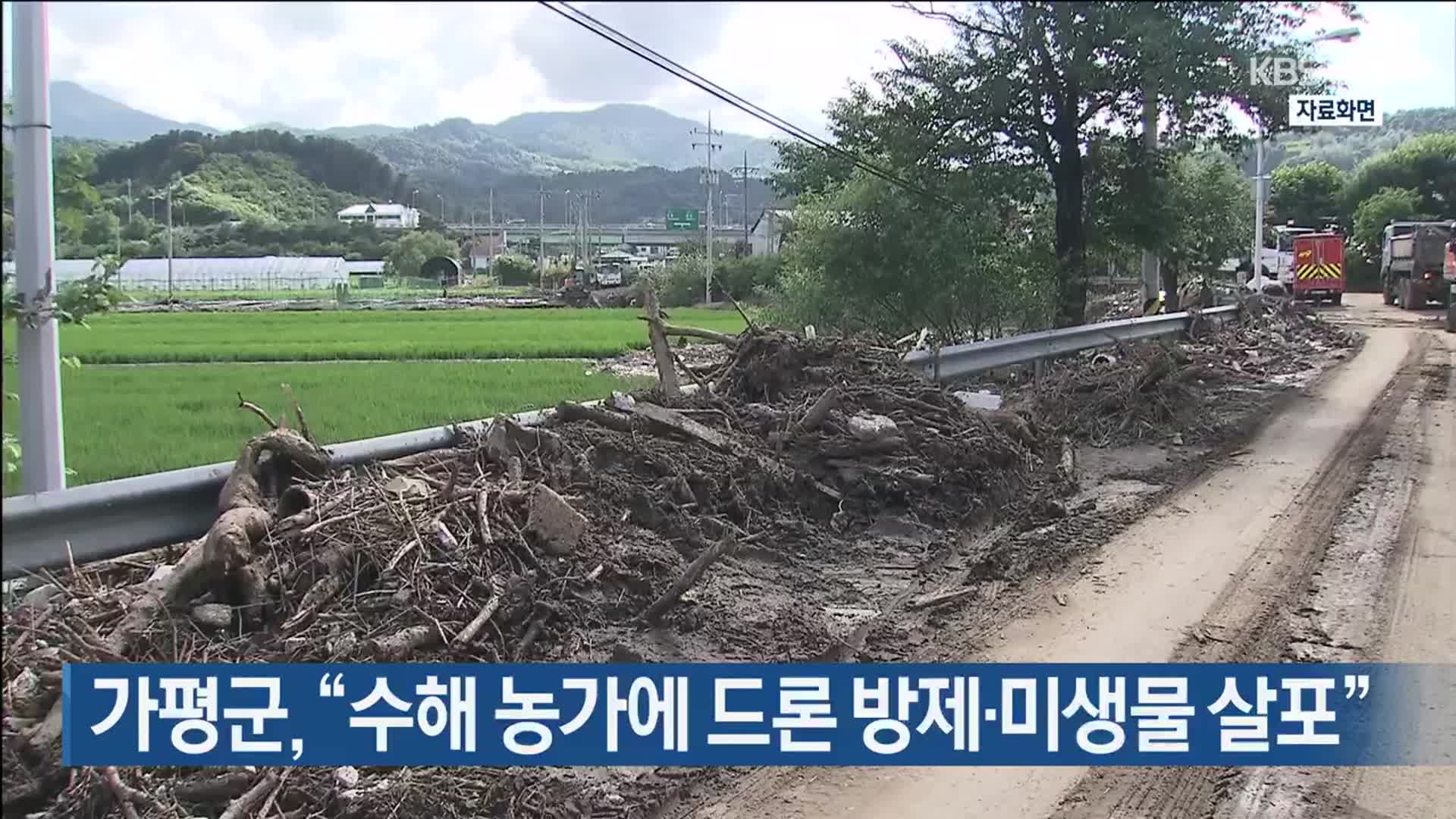 가평군 “수해 농가에 드론 방제·미생물 살포”
