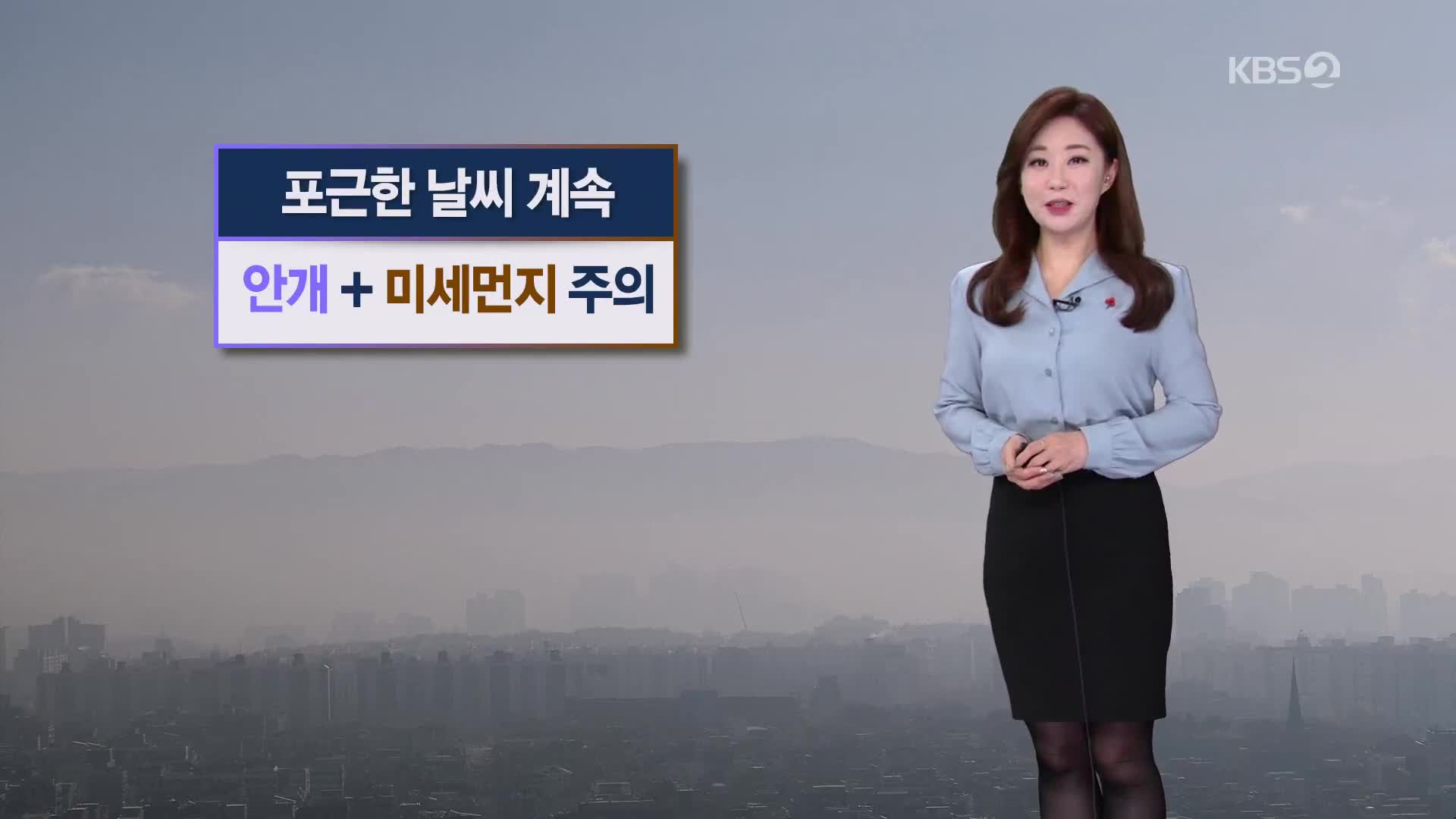 [굿모닝 날씨] 포근한 날씨에 미세먼지 농도 높아져