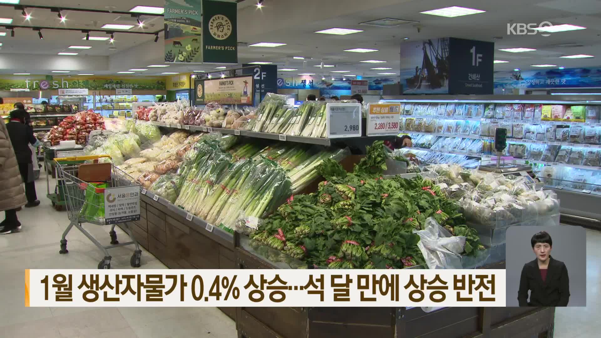 1월 생산자물가 0.4% 상승…석 달 만에 상승 반전