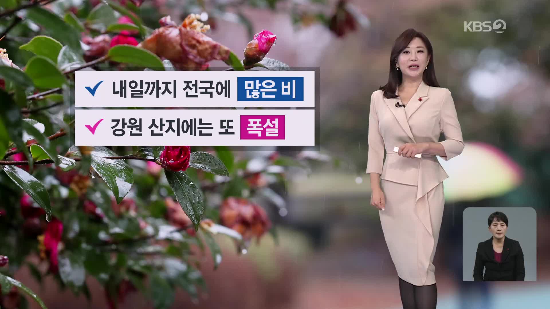 [아침뉴스타임 날씨] 전국, 많은 비…강원 산지에는 또 폭설