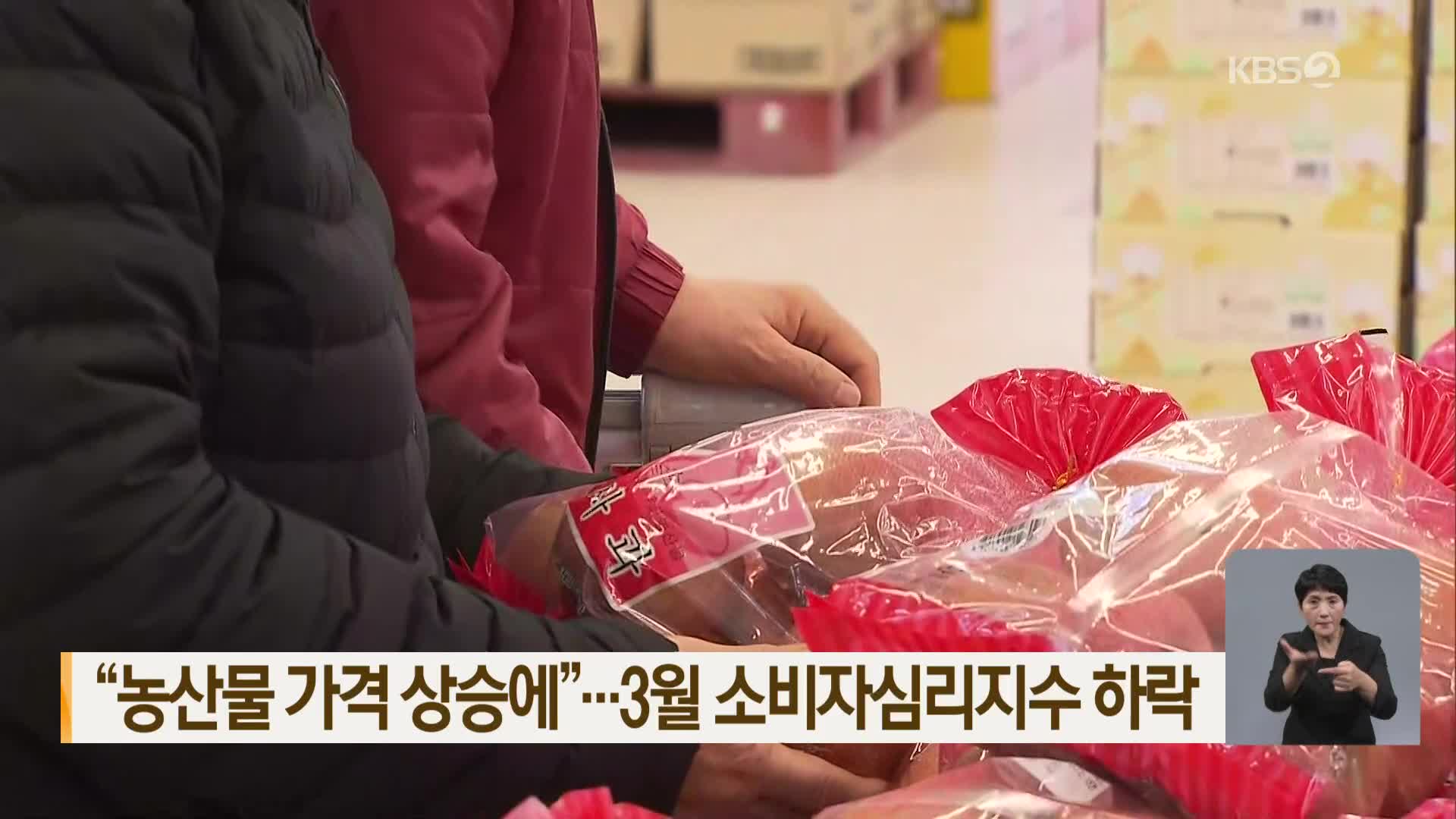 “농산물 가격 상승에”…3월 소비자심리지수 하락