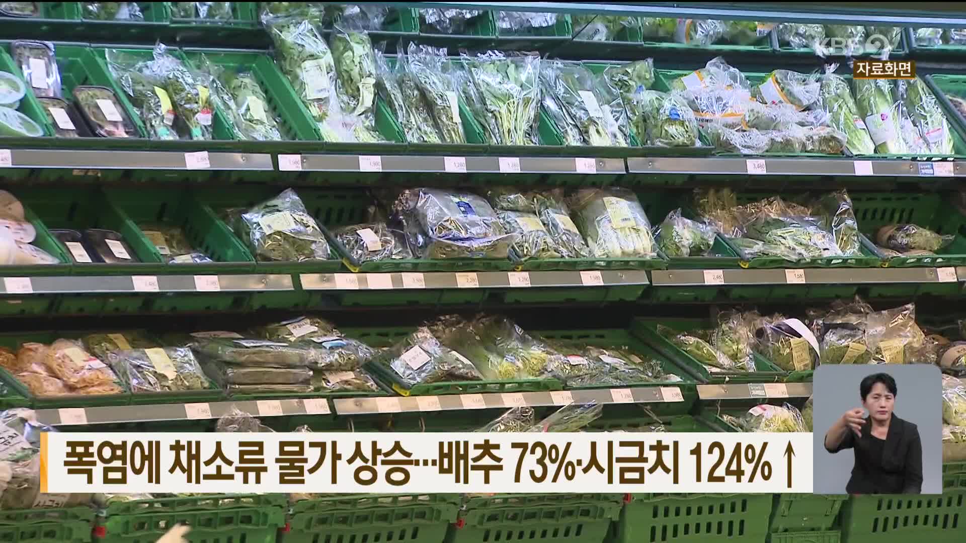 폭염에 채소류 물가 상승…배추 73%·시금치 124% ↑