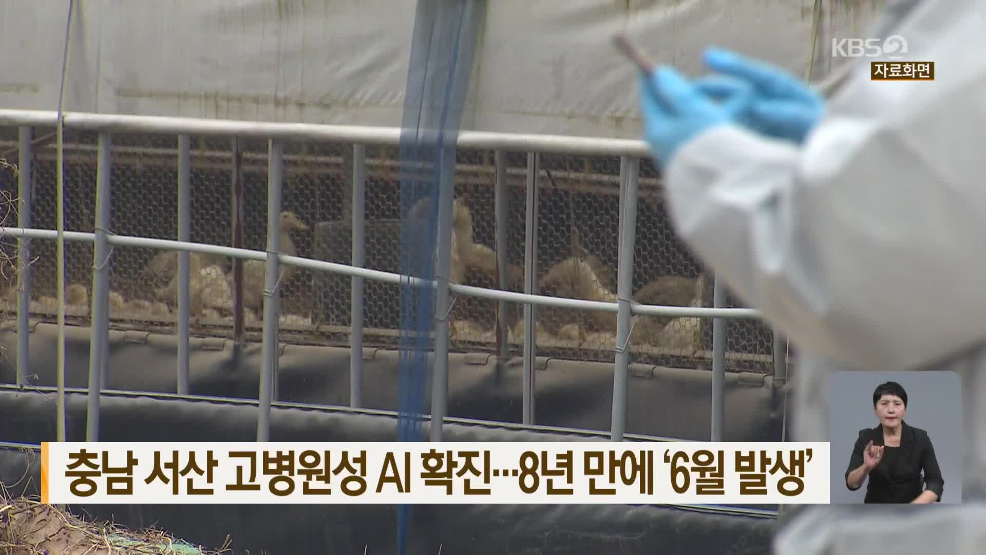 충남 서산 고병원성 AI 확진…8년 만에 ‘6월 발생’