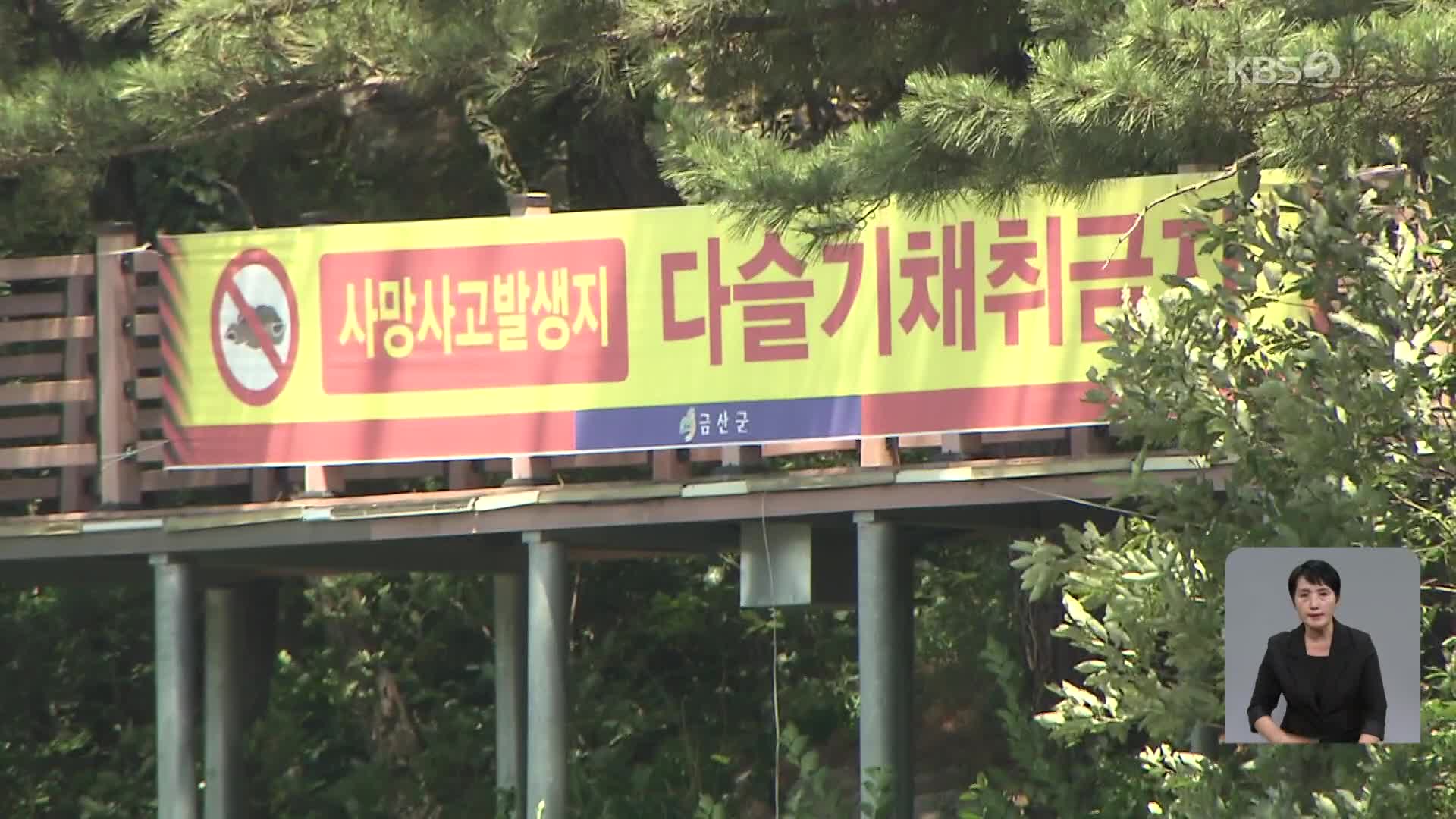 4명 숨졌는데 또 다슬기 잡이 ‘안전불감증’