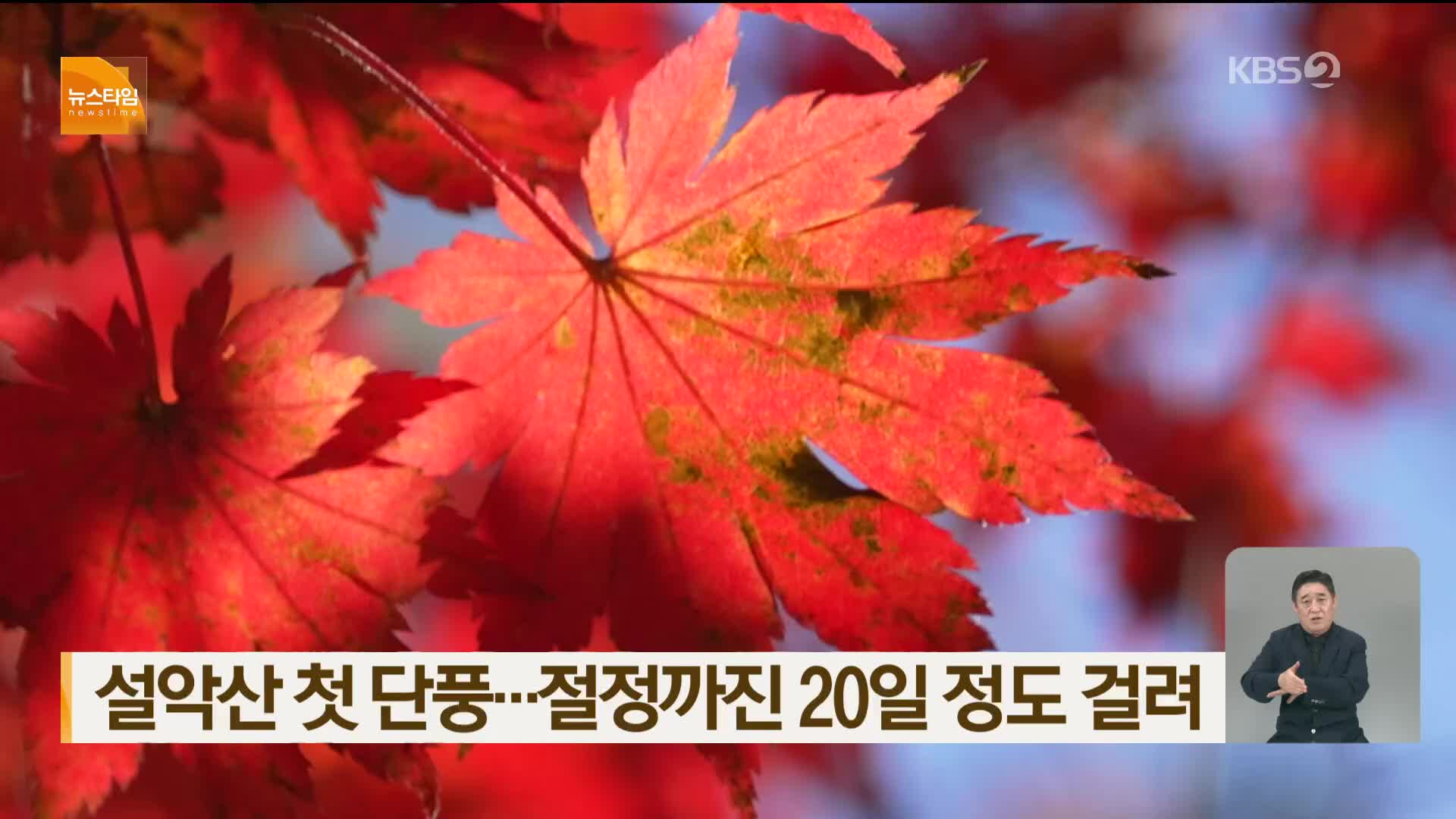 설악산 첫 단풍…절정까진 20일 정도 걸려