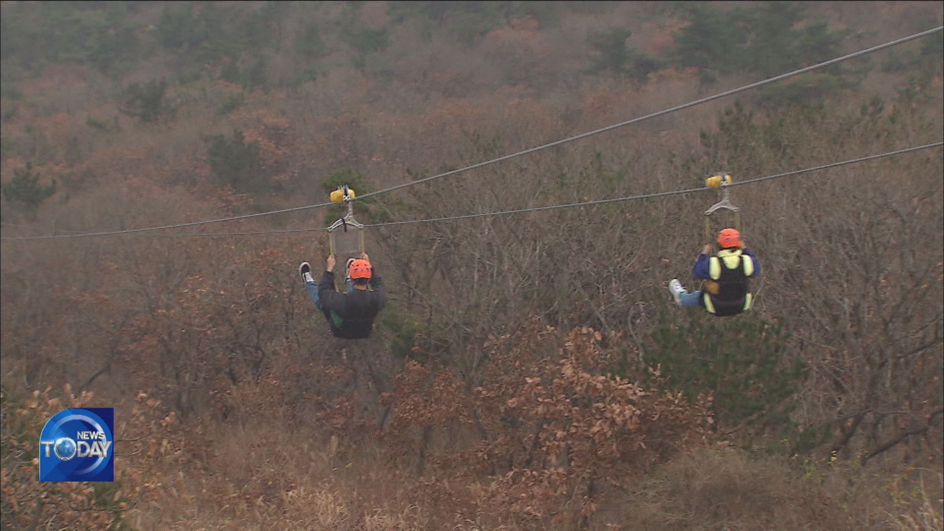 SAFETY CONCERNS SURROUNDING ZIP LINES