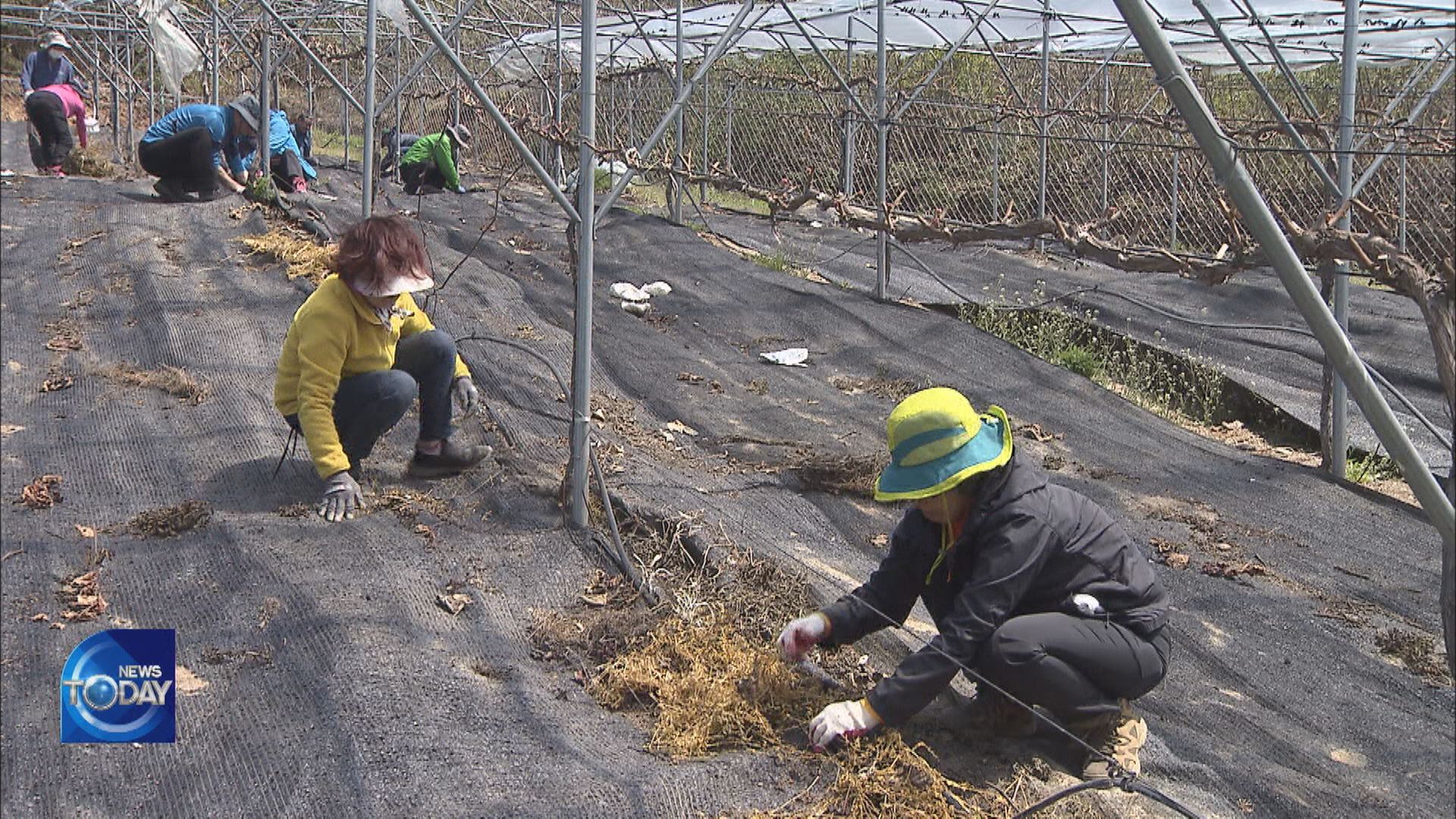 PROGRAMS THAT HELP ADAPT TO COUNTRY LIFE