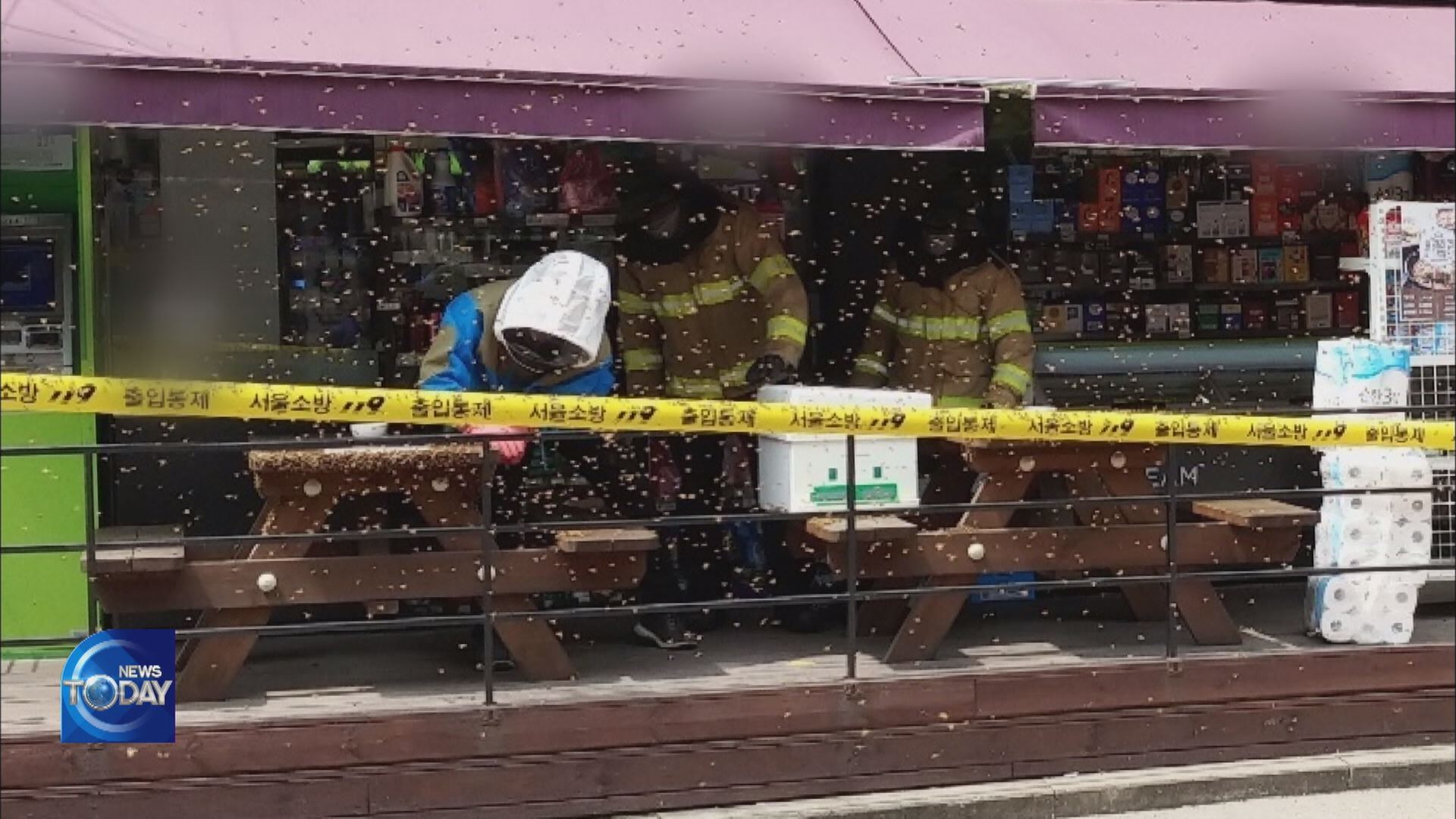 SMALL BEE FARMS CAUSE DAMAGES