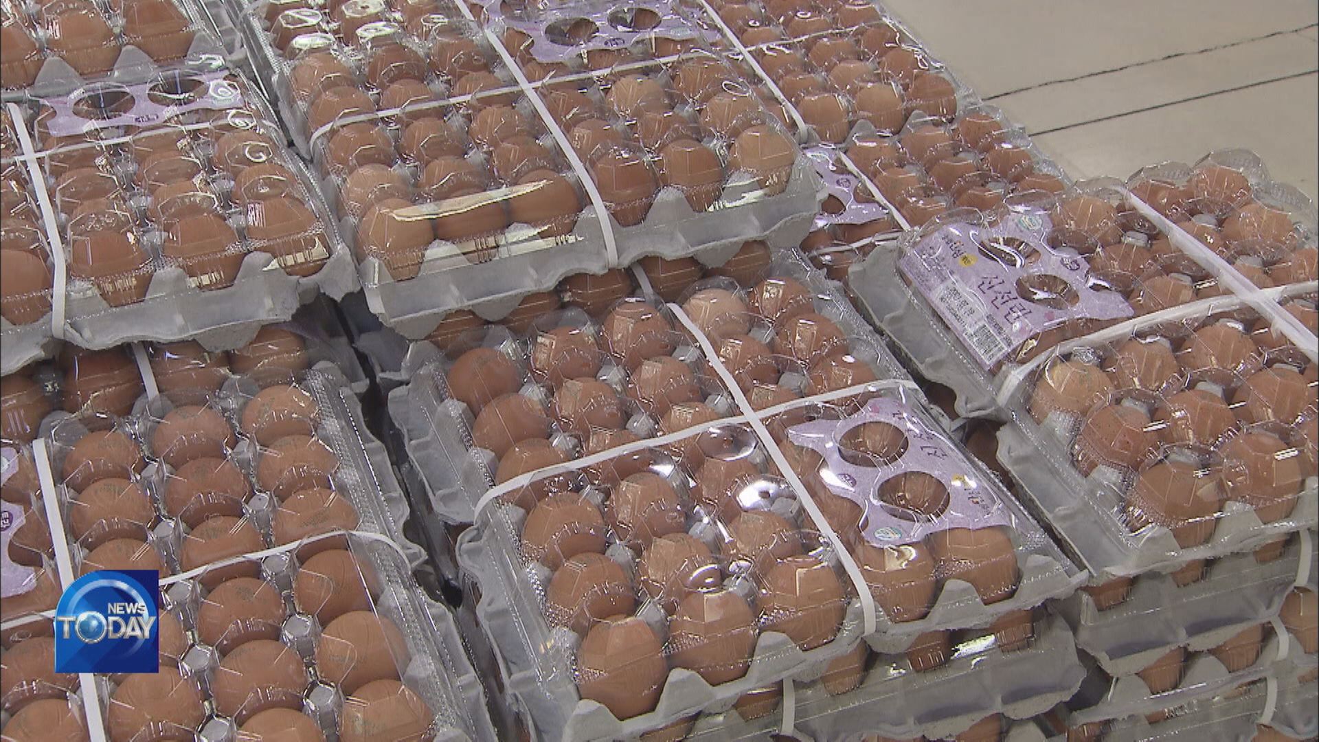 SOAR IN LOCAL EGG PRICES