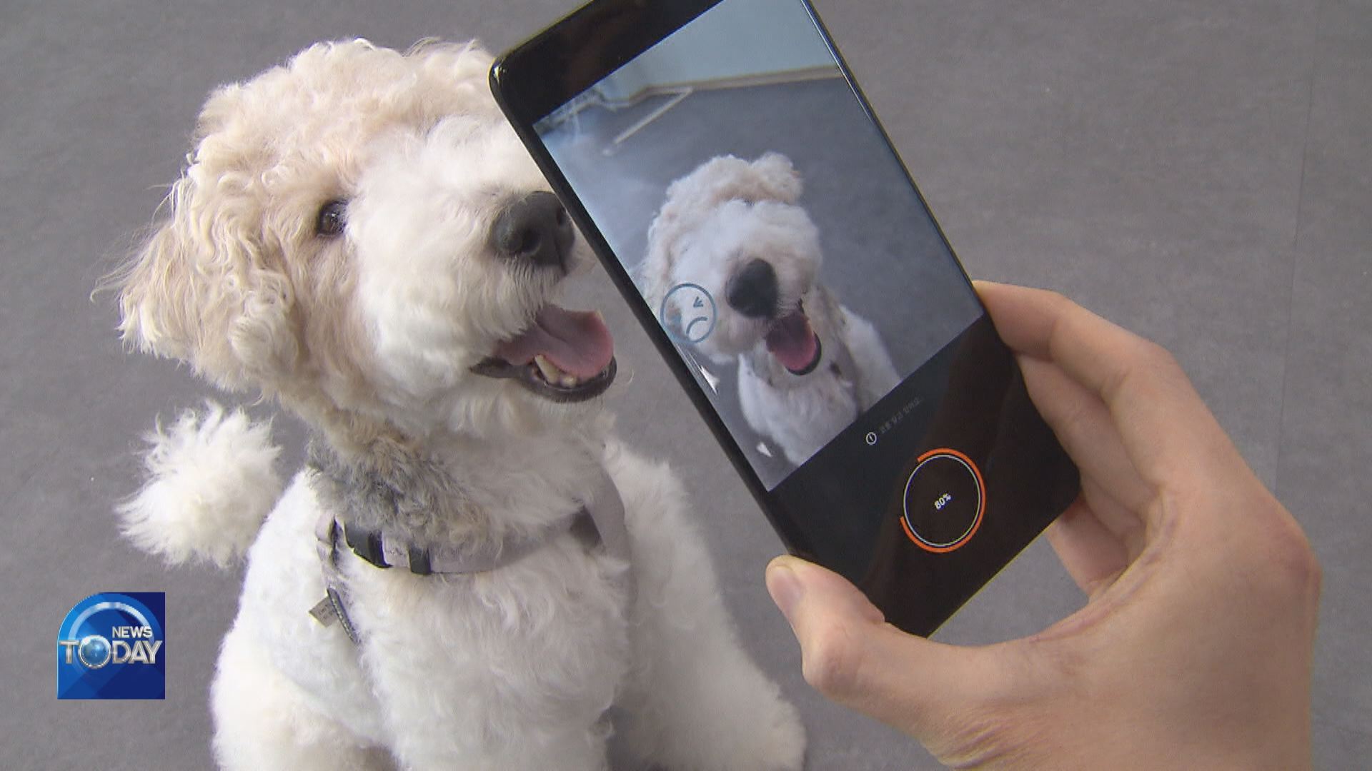 AI IN DIGITAL PET PRODUCTS