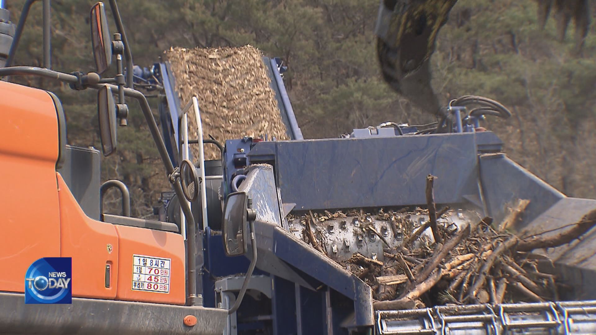 USING BURNT TREES AS RENEWABLE ENERGY