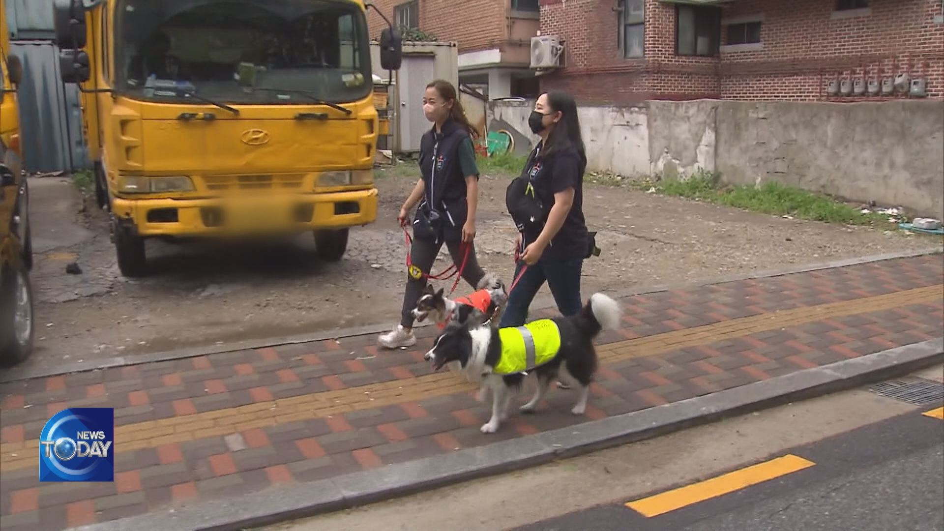 CANINE PATROL SQUAD